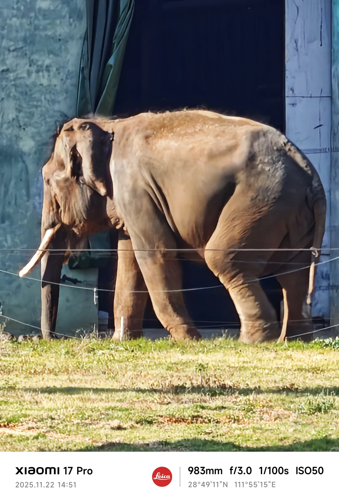 常德野生动物园略显小气了