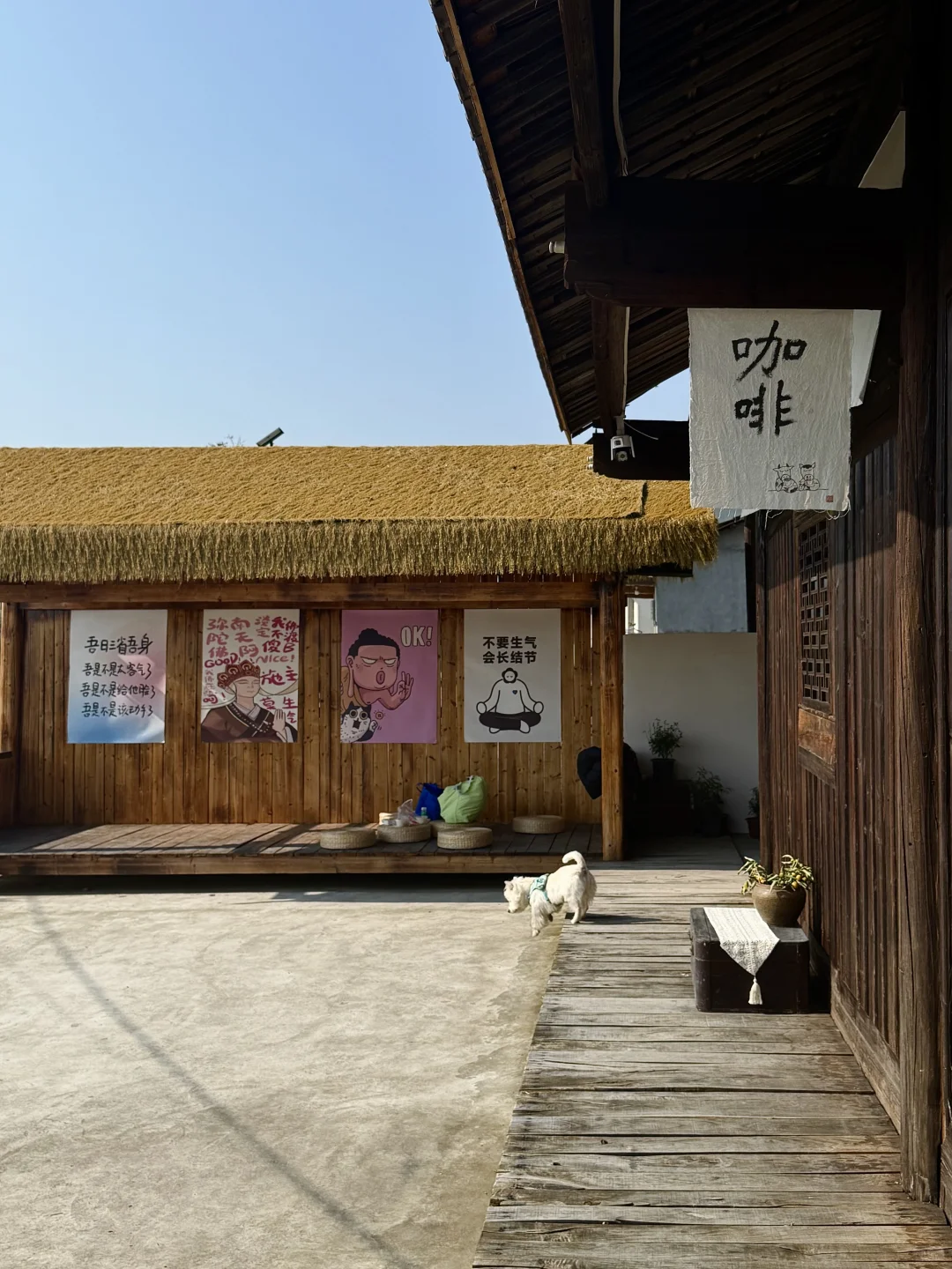 常德周边的小岛：白鳞洲