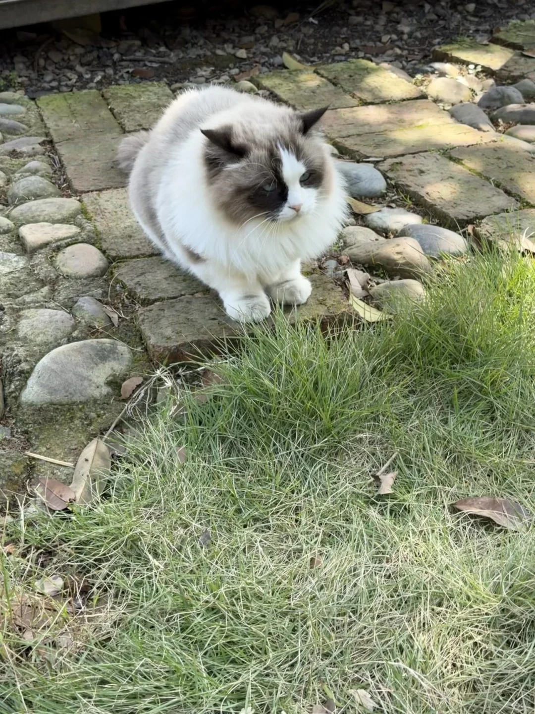 来森林里吸氧🫧藏在常德河洑山的宝藏美术馆