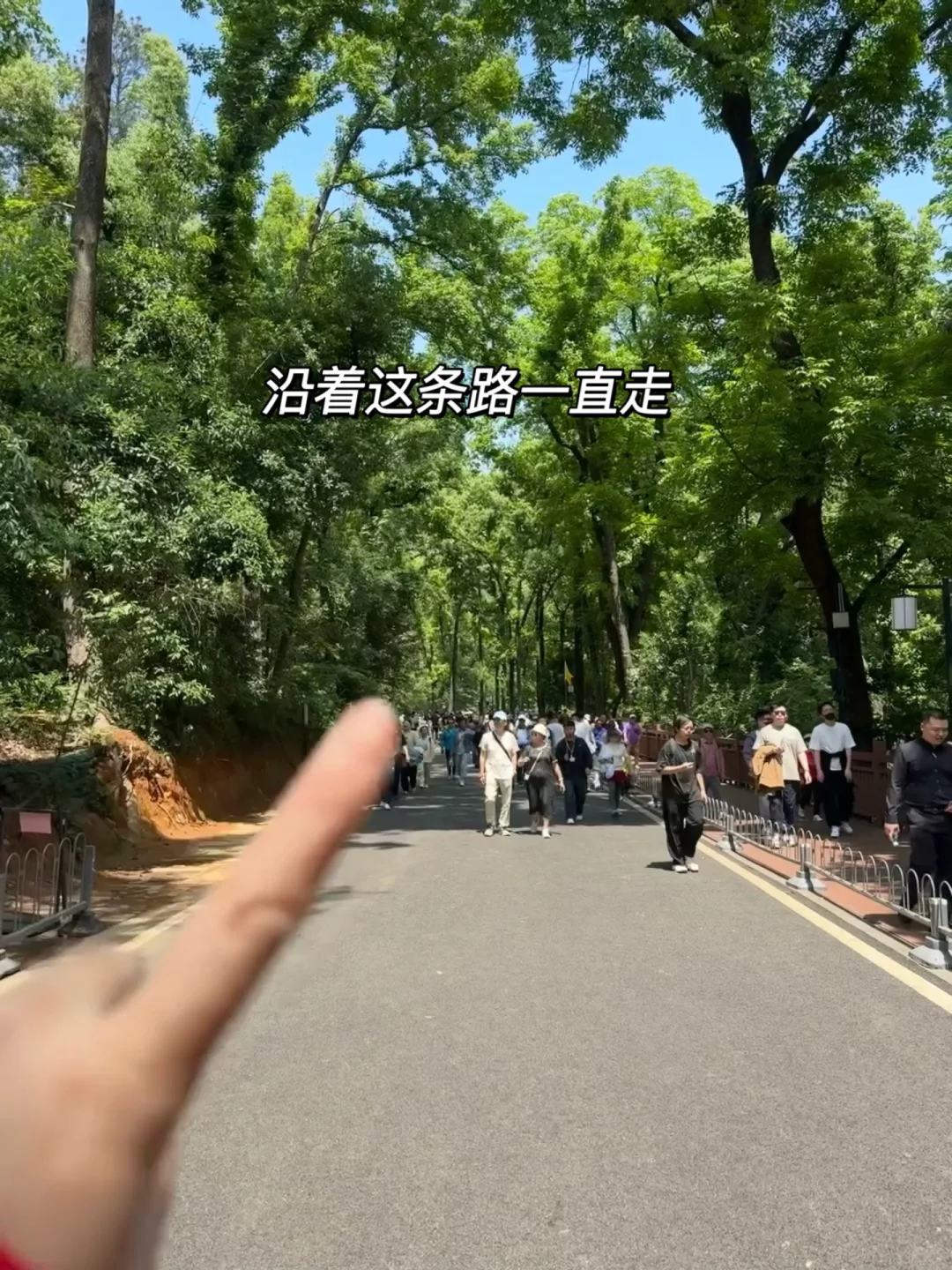 长沙岳麓书院和爱晚亭不爬山攻略！！ （附路线