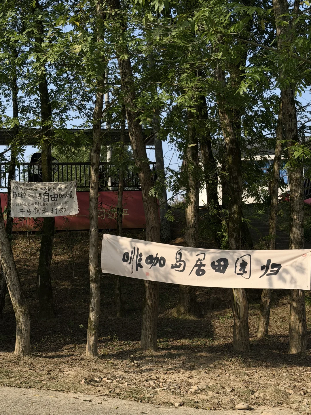 常德周边的小岛：白鳞洲