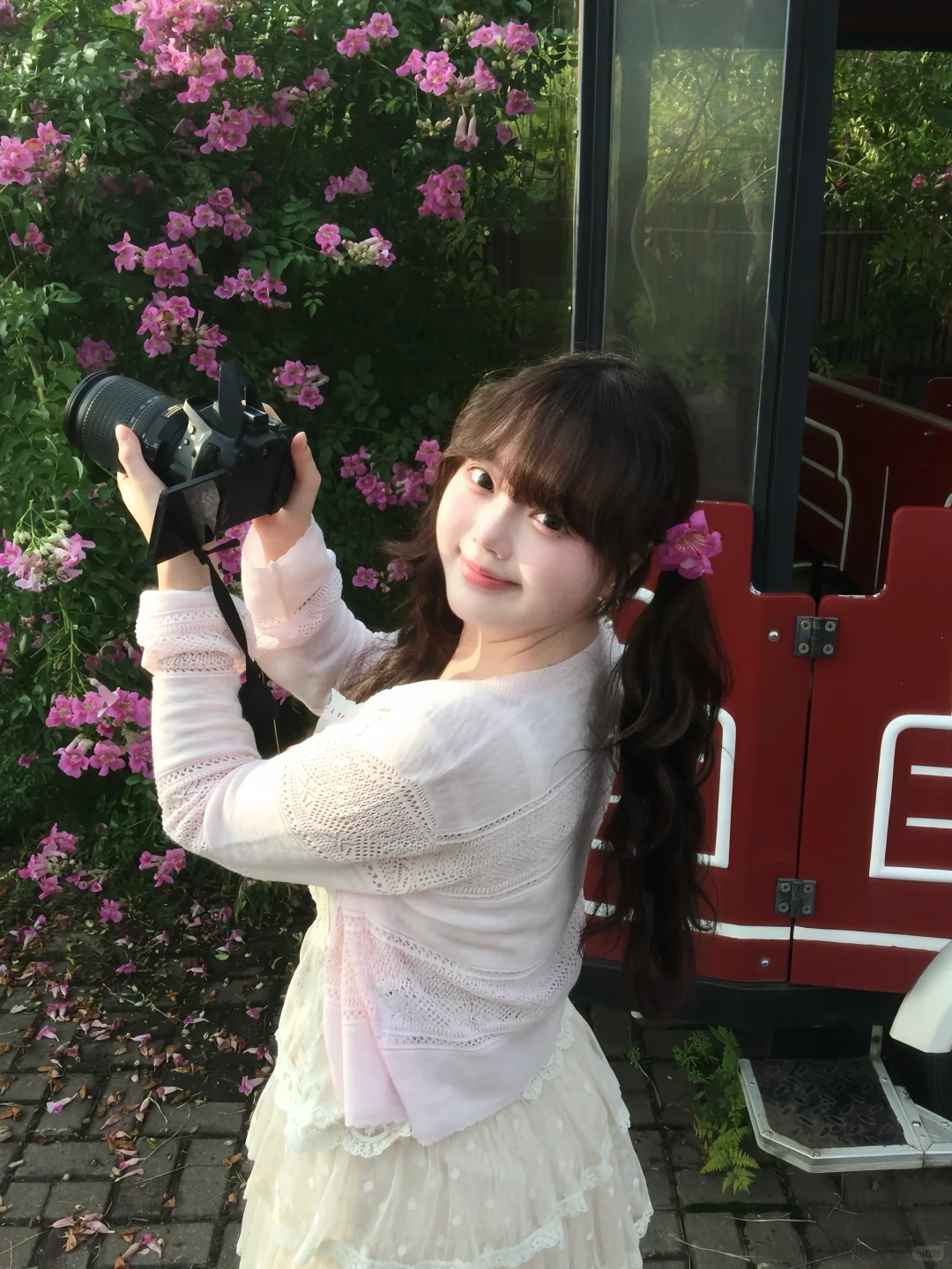 在常德 秋天也拍到粉粉的花墙啦 🌸