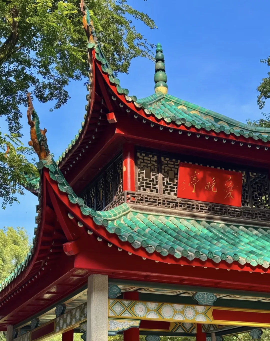 在长沙，看到世界的一角🌆