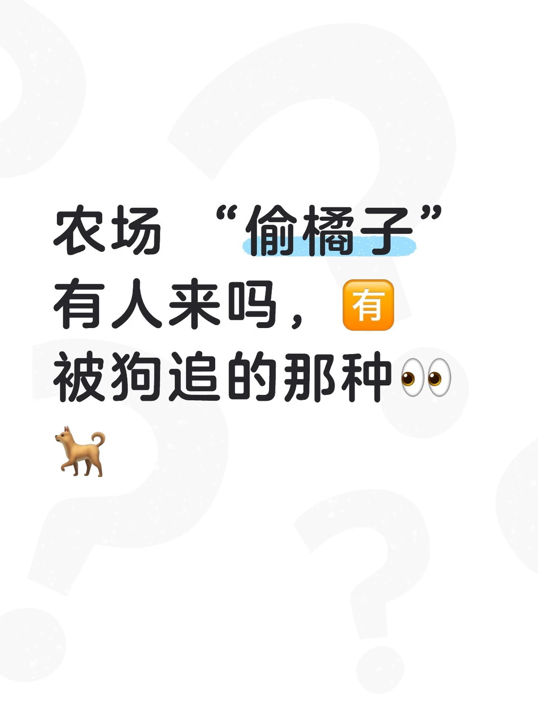 常德版的“偷甘蔗”👀👀