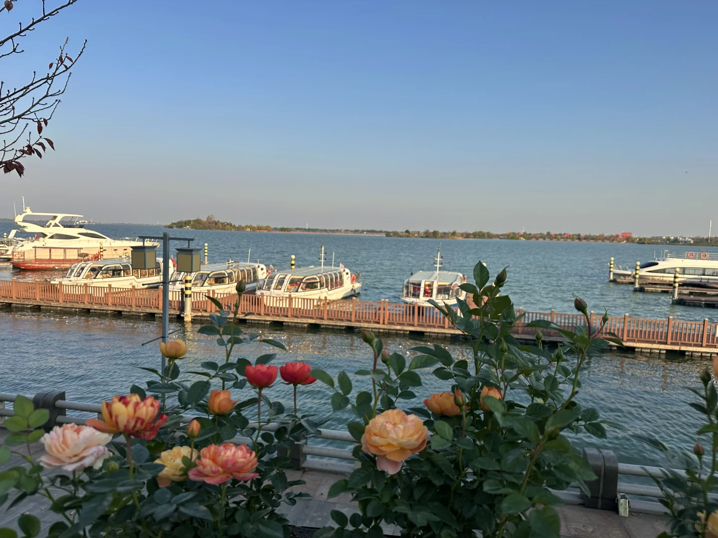 咖啡搭子速来！在常德柳叶湖浪漫系咖啡厅