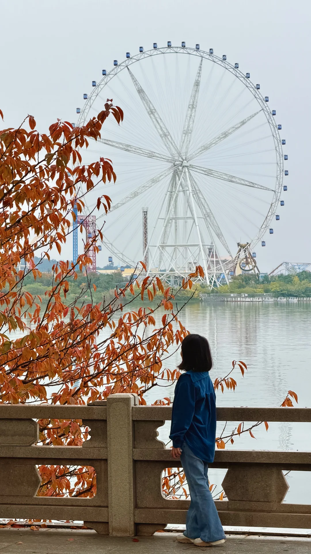 这就是常德的秋天吗？！也太好看了！！
