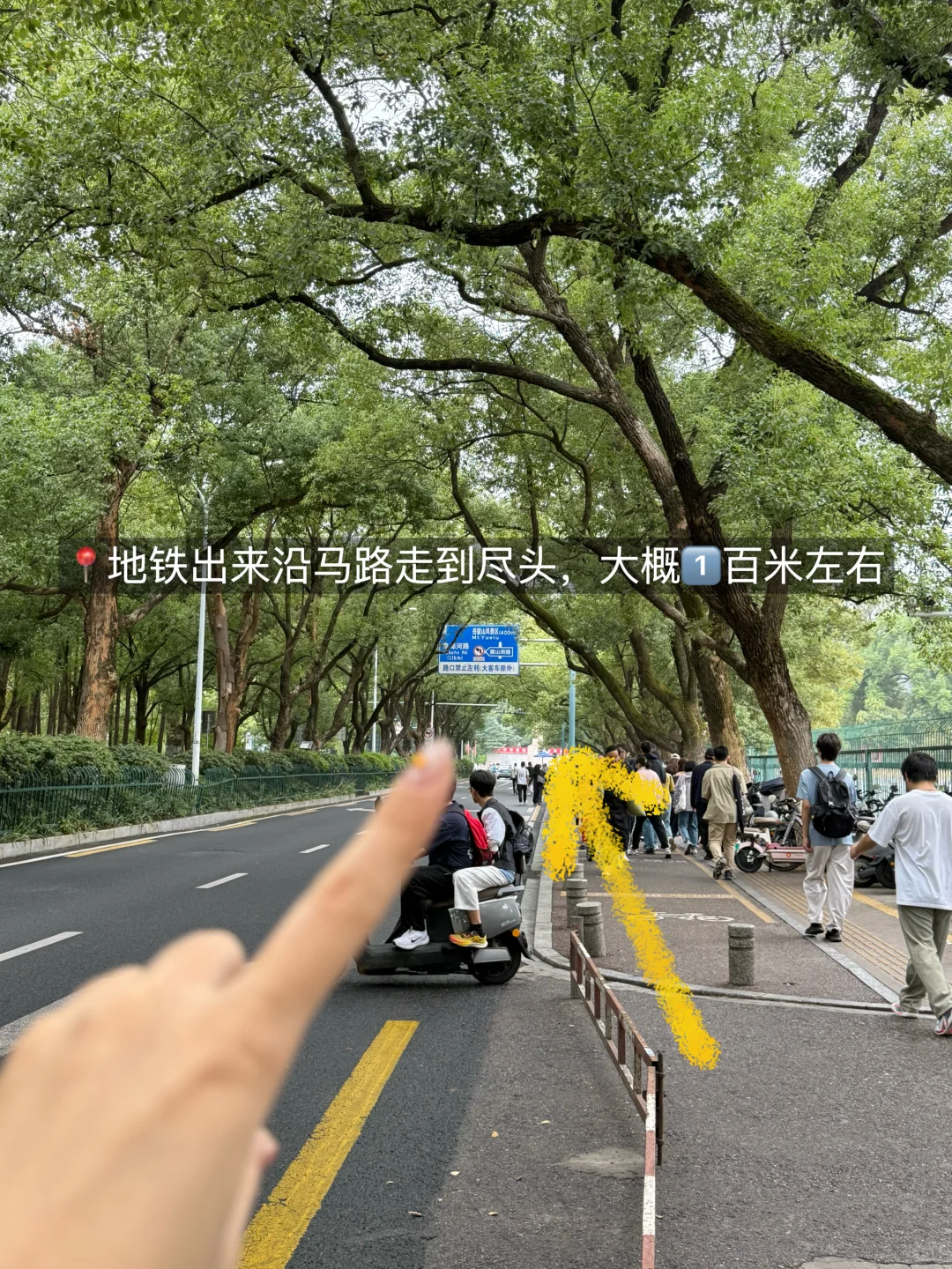 📍岳麓山免爬山攻略！附详细打卡路线（懒人版