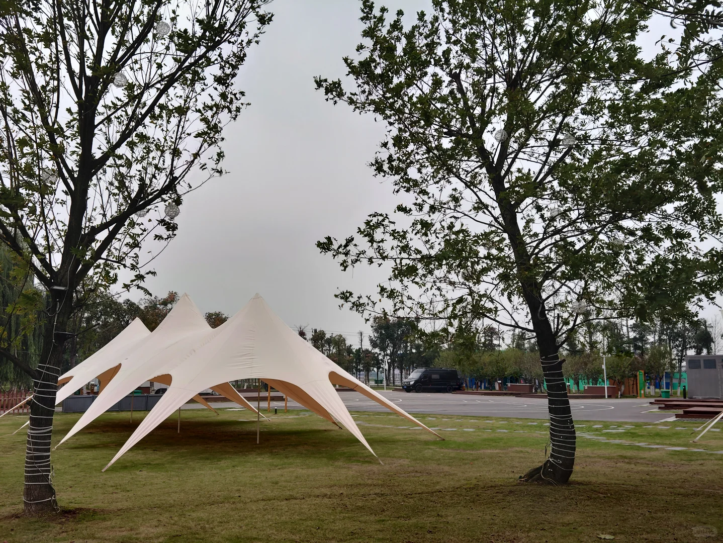 常德周边10元/天房车营地，政府公益价太香