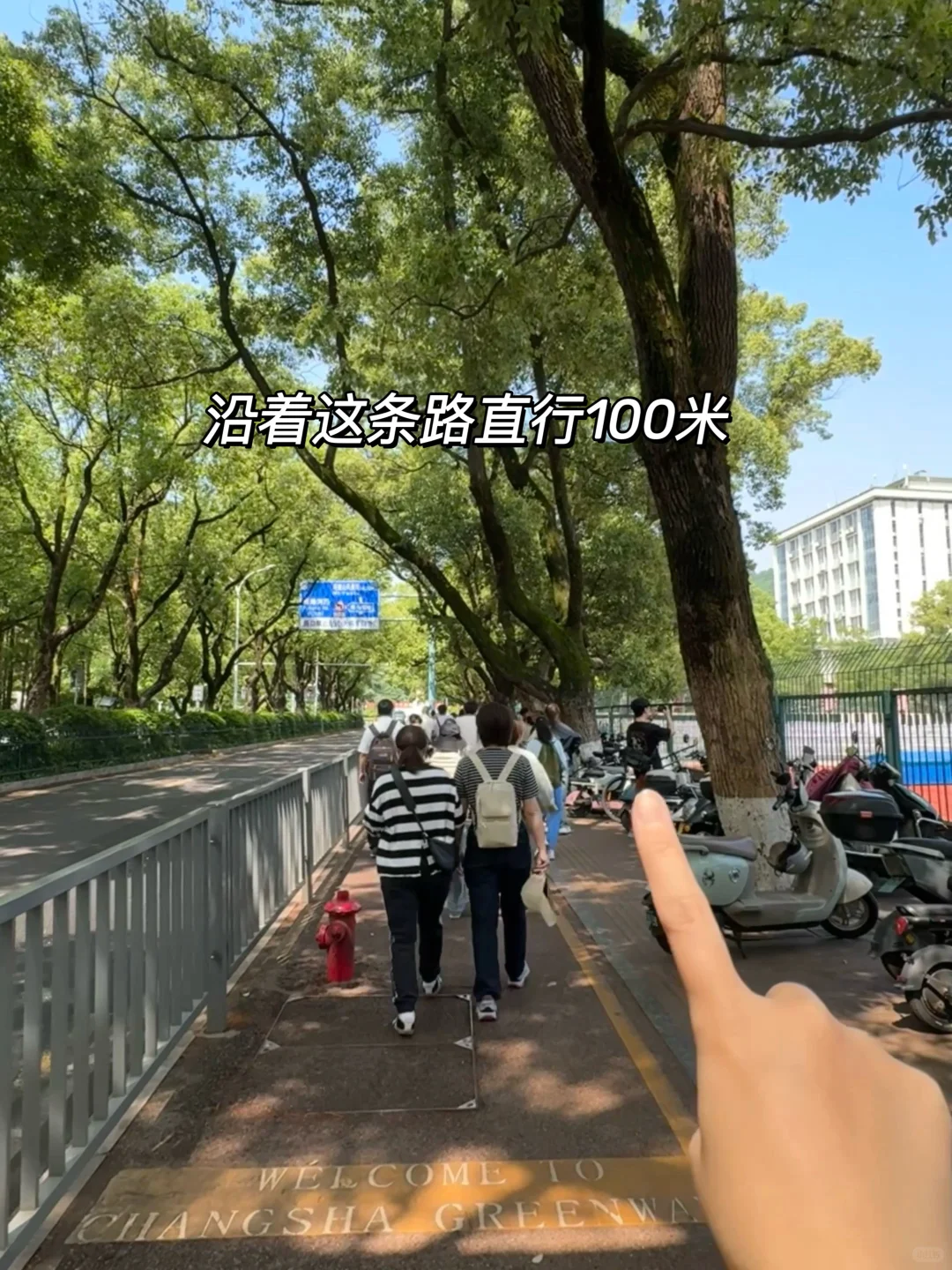 长沙岳麓书院和爱晚亭不爬山攻略！！ （附路线