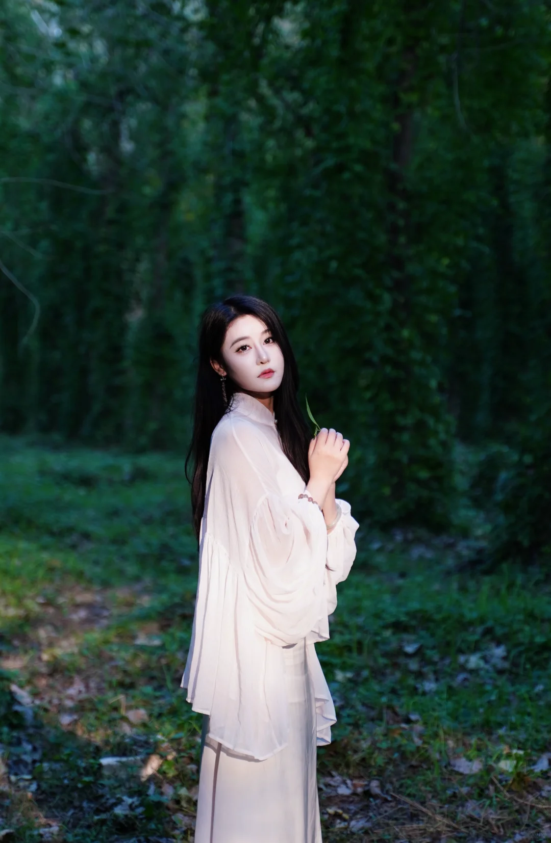 🌲这里不是川西，这里是常德🌲