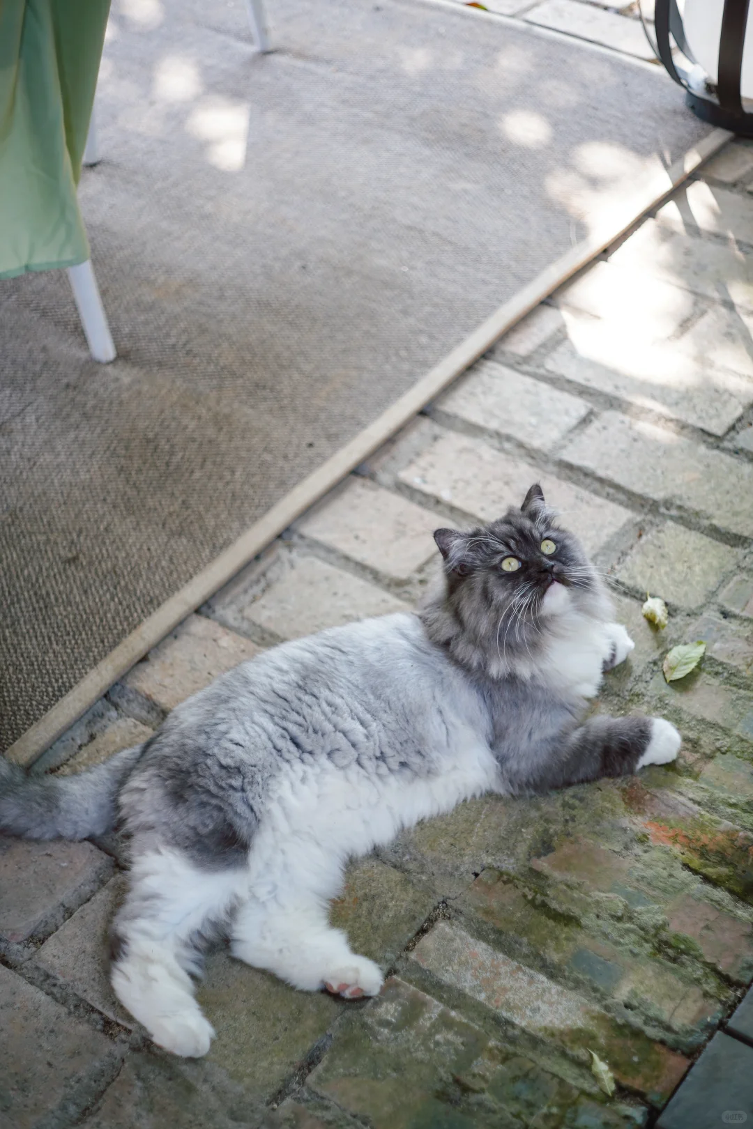 常德｜周末逃离计划｜躲进美术馆里森呼吸🎐