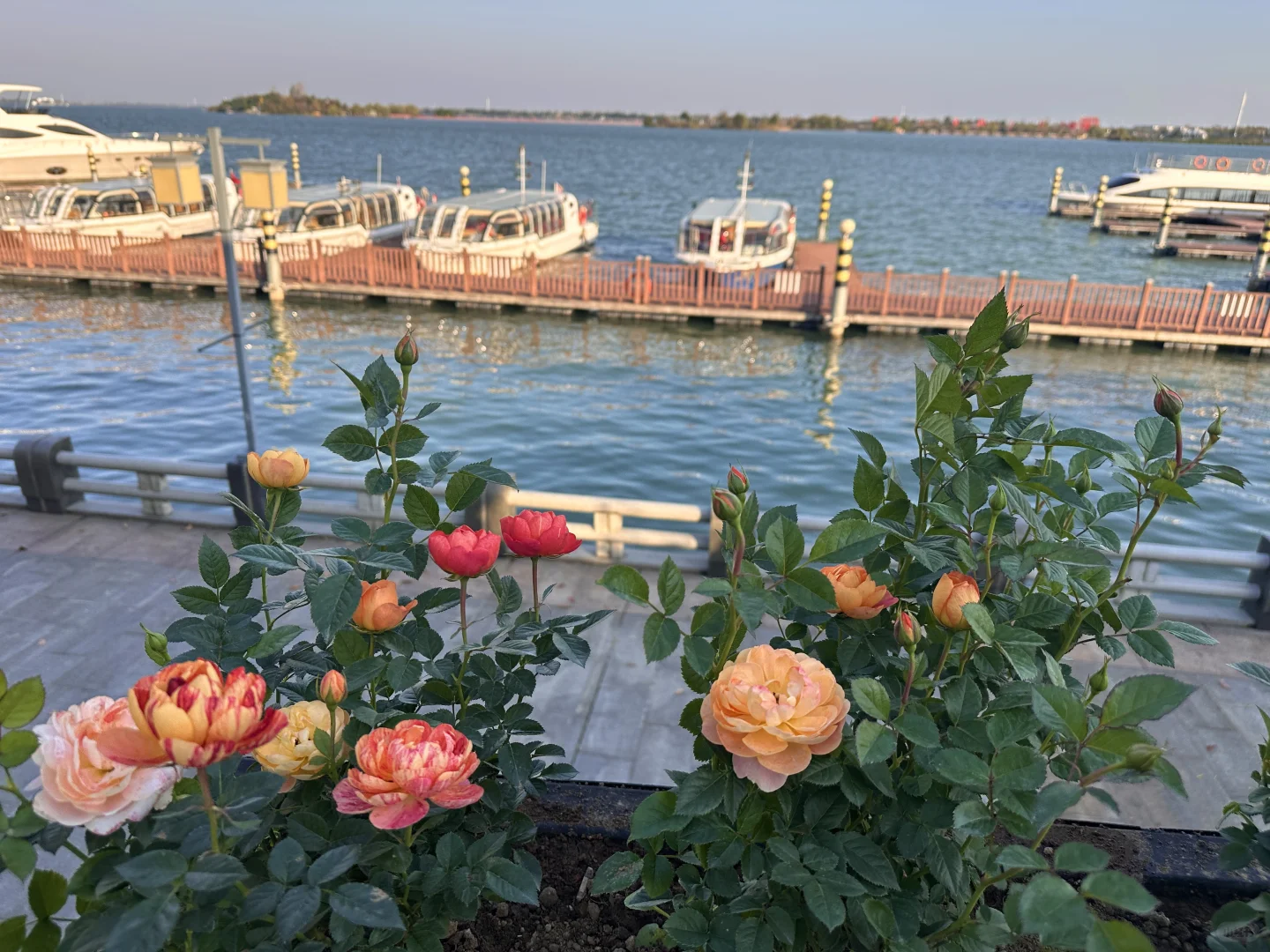 咖啡搭子速来！在常德柳叶湖浪漫系咖啡厅