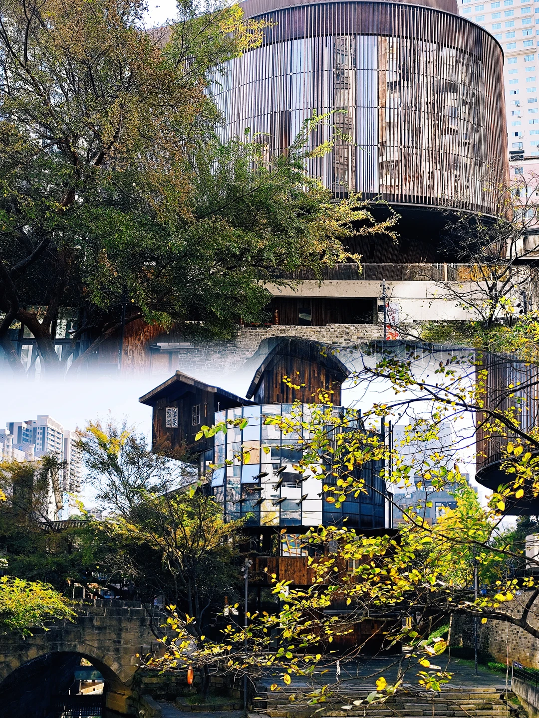 常德｜独自旅行第133站