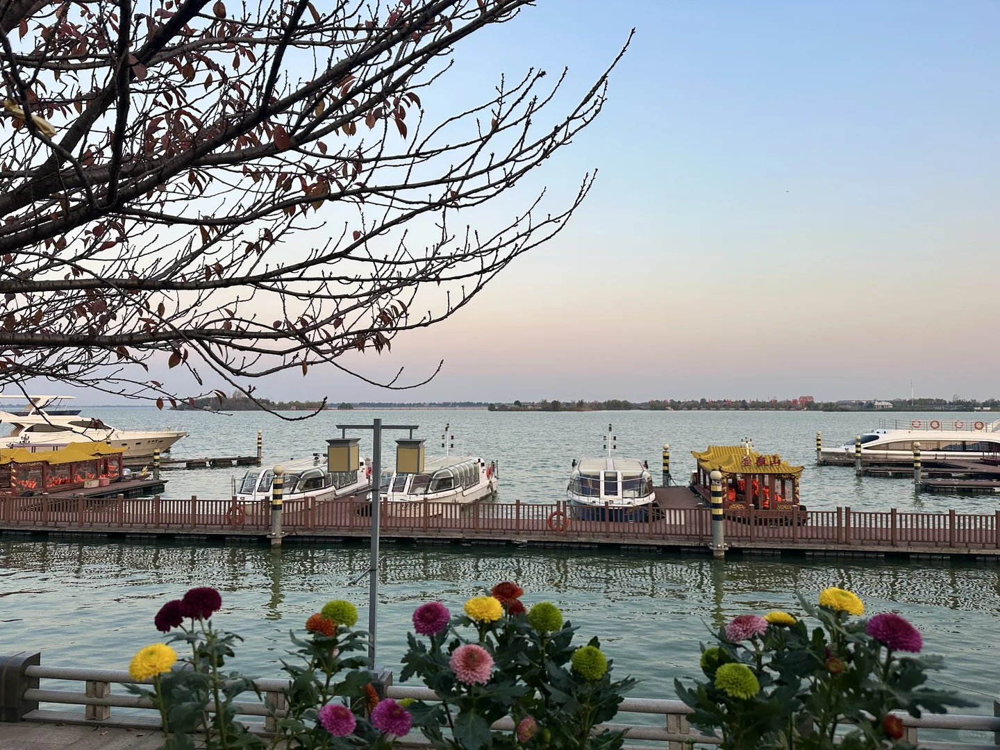 咖啡搭子速来！在常德柳叶湖浪漫系咖啡厅