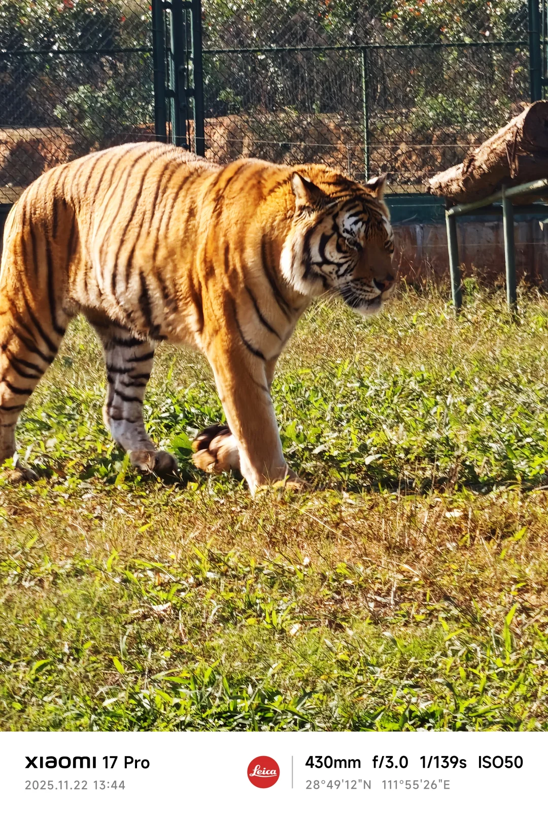 常德野生动物园略显小气了
