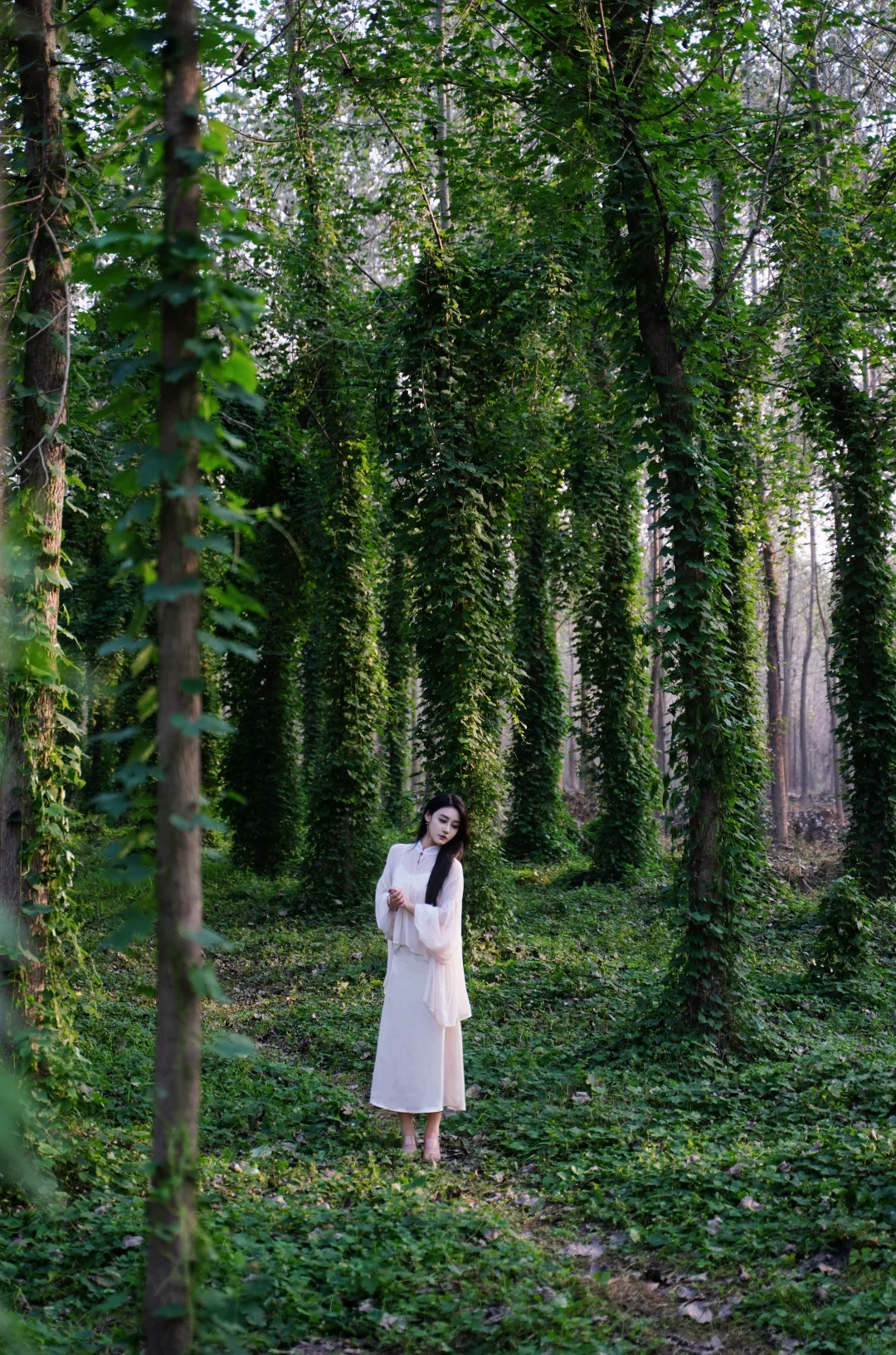 🌲这里不是川西，这里是常德🌲