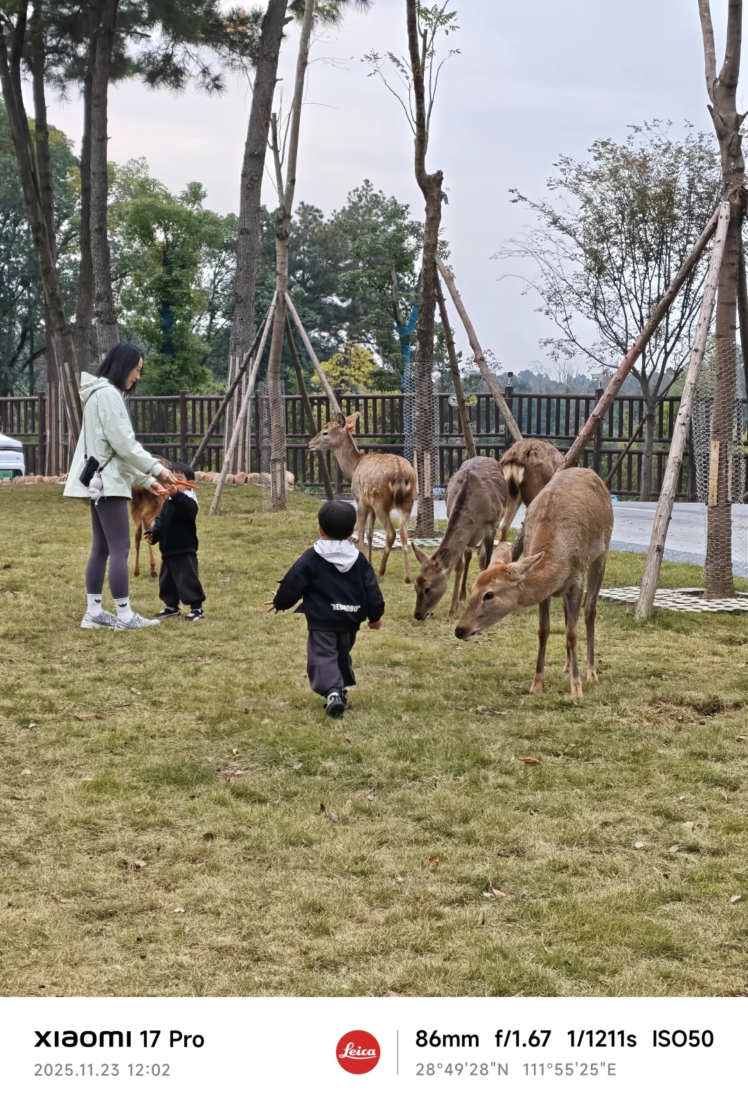 常德野生动物园略显小气了