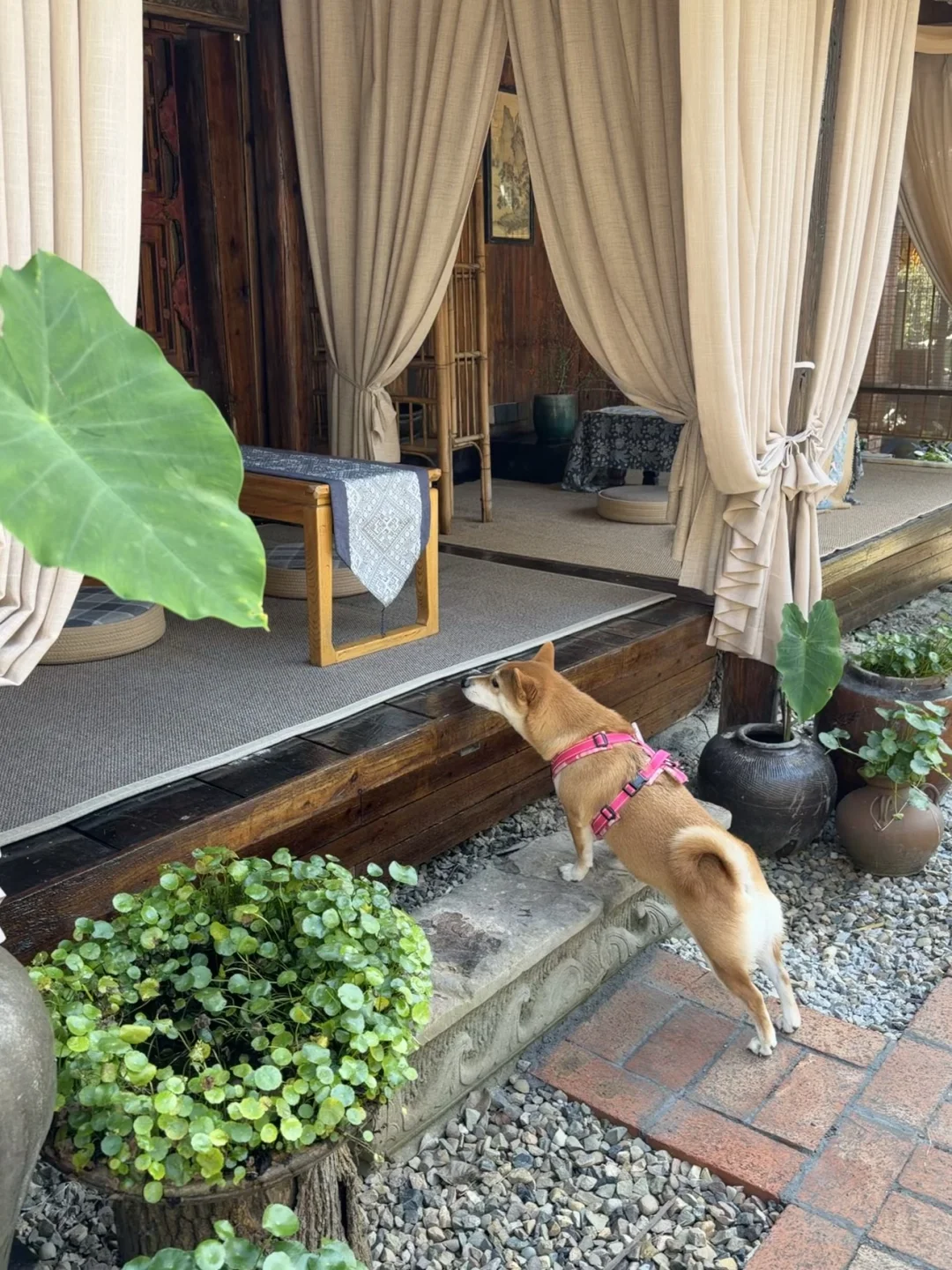 来森林里吸氧🫧藏在常德河洑山的宝藏美术馆