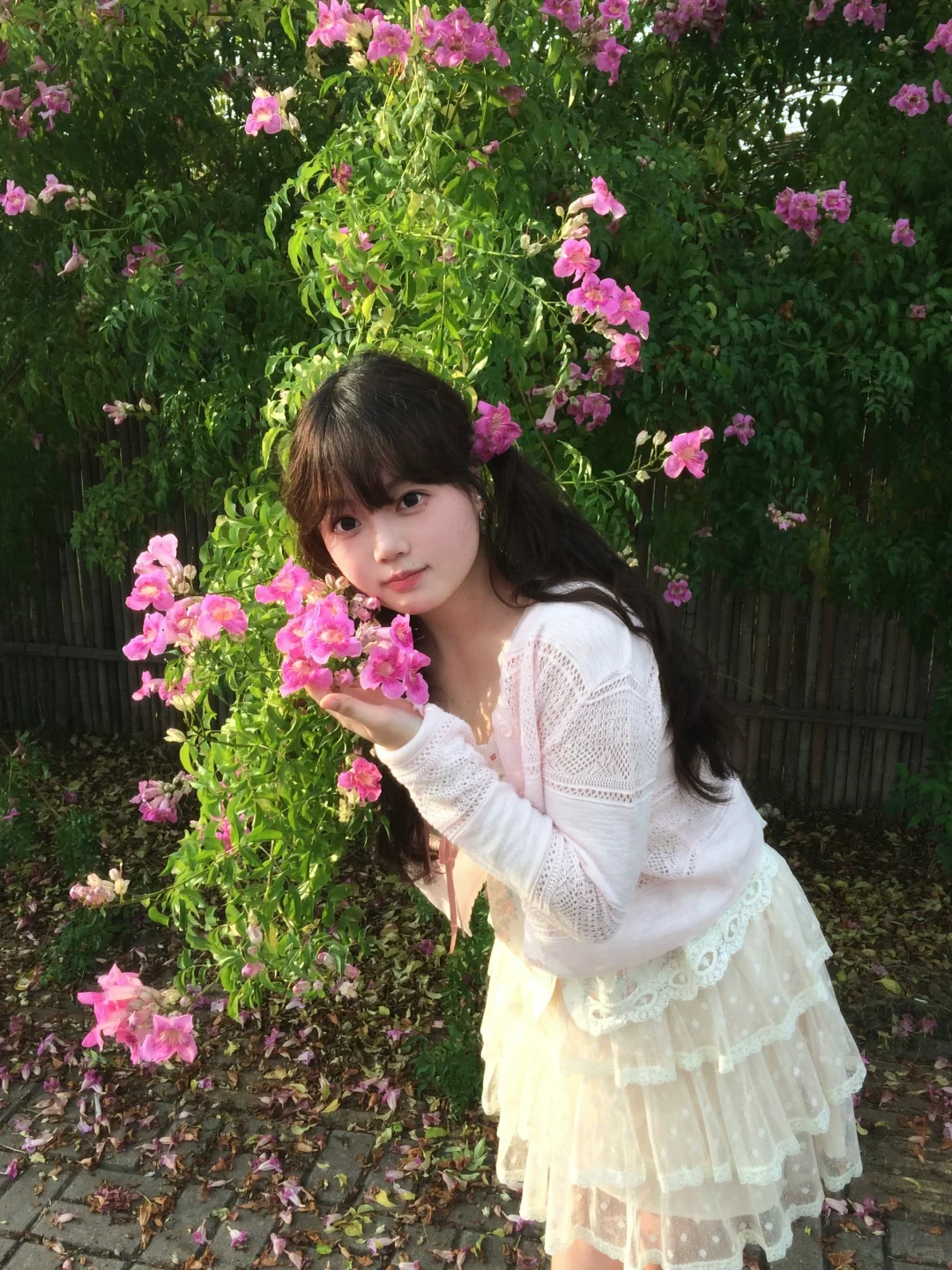 在常德 秋天也拍到粉粉的花墙啦 🌸