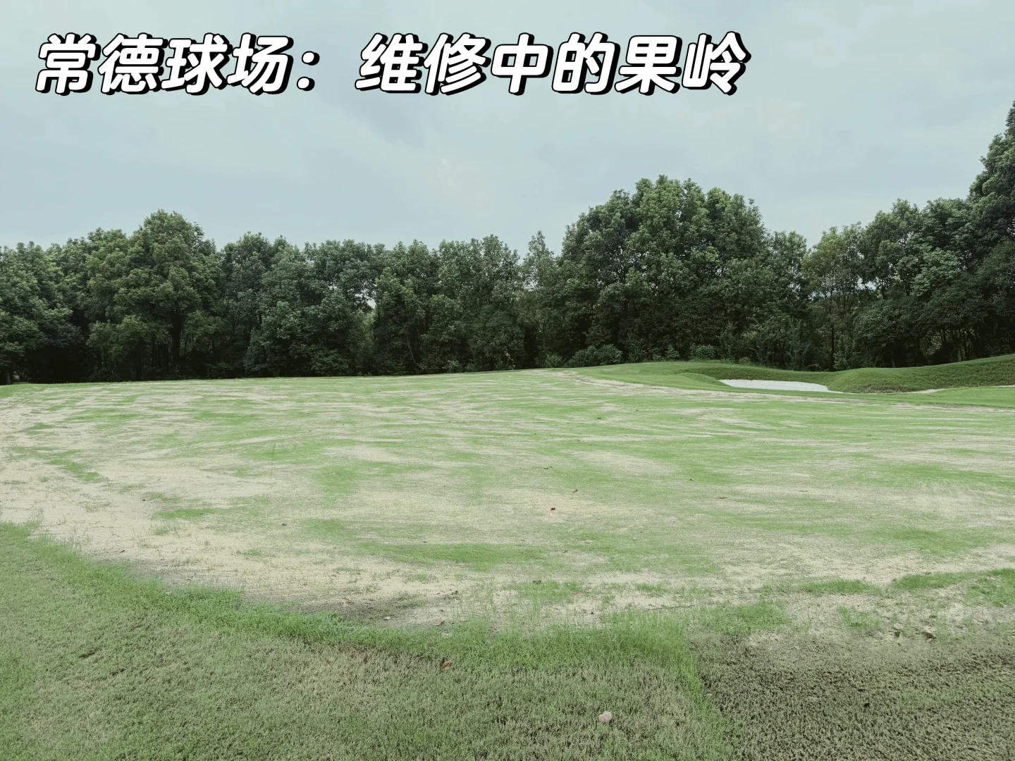 2025夏秋之旅第四站：常德