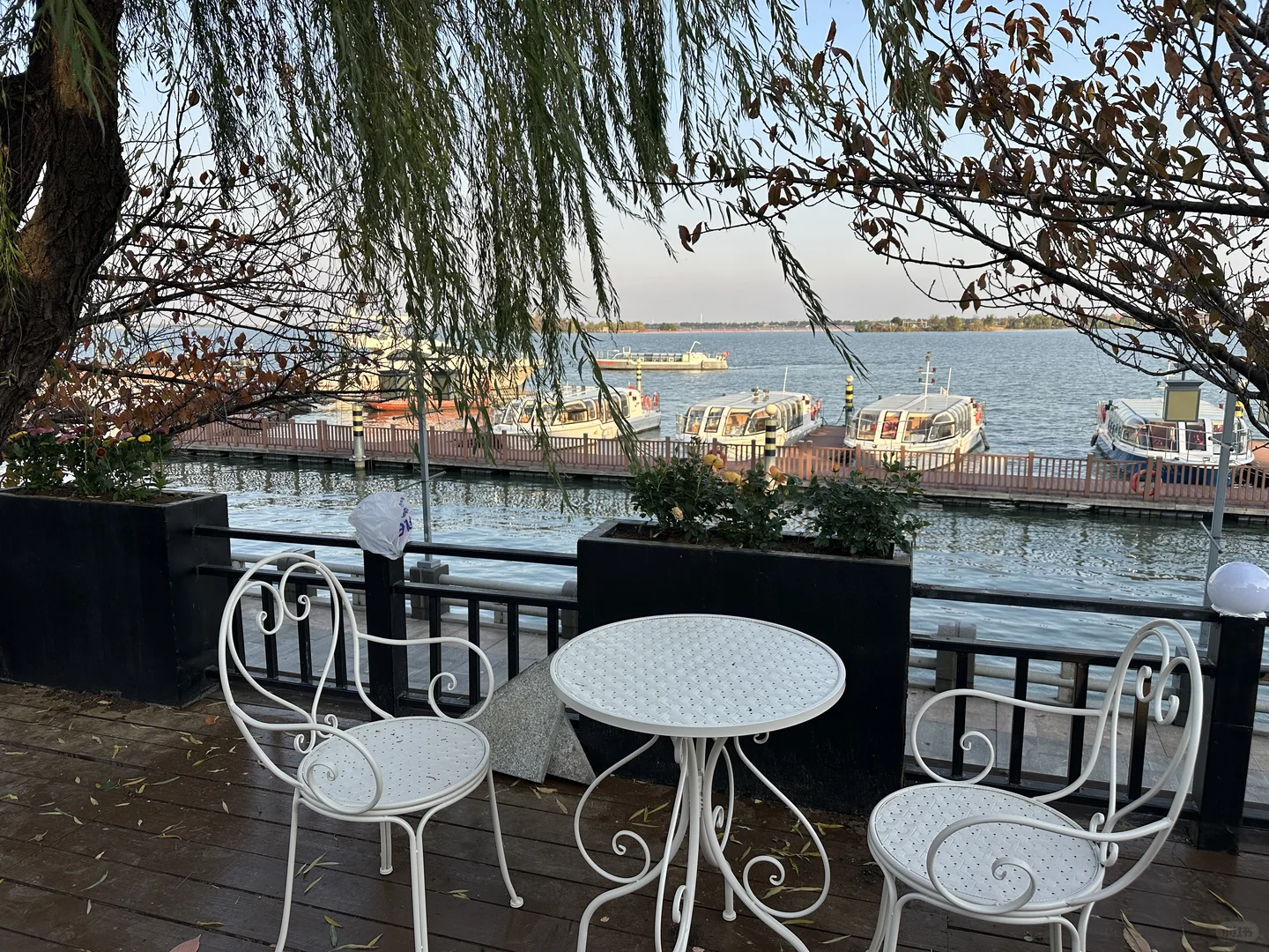 咖啡搭子速来！在常德柳叶湖浪漫系咖啡厅