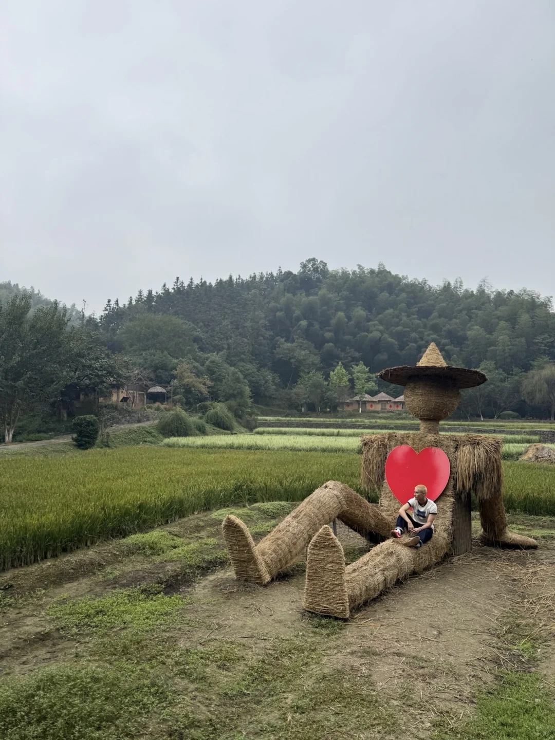 中国人真的都会背《桃花源记》吗？