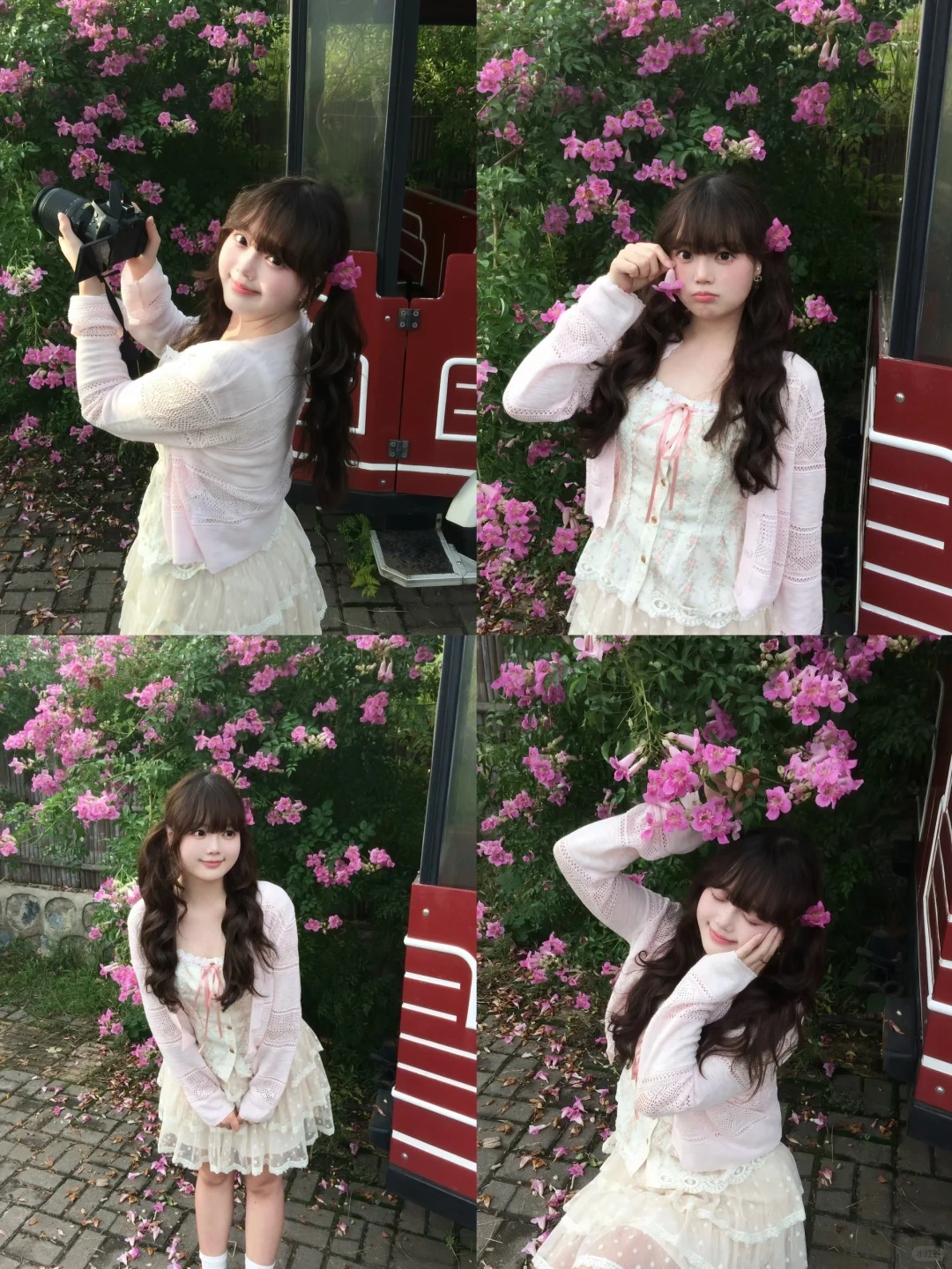 在常德 秋天也拍到粉粉的花墙啦 🌸