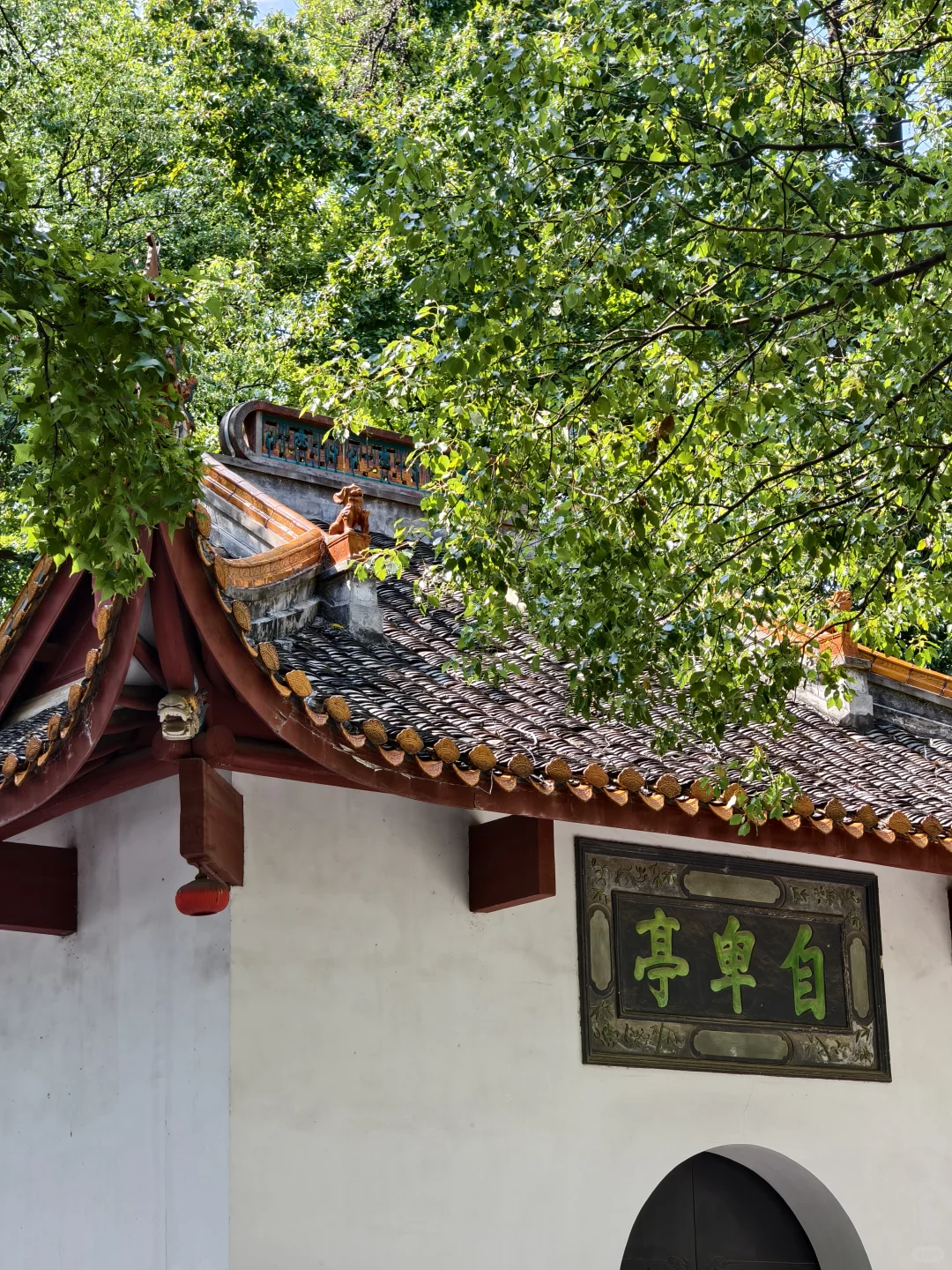 在长沙，看到世界的一角🌆