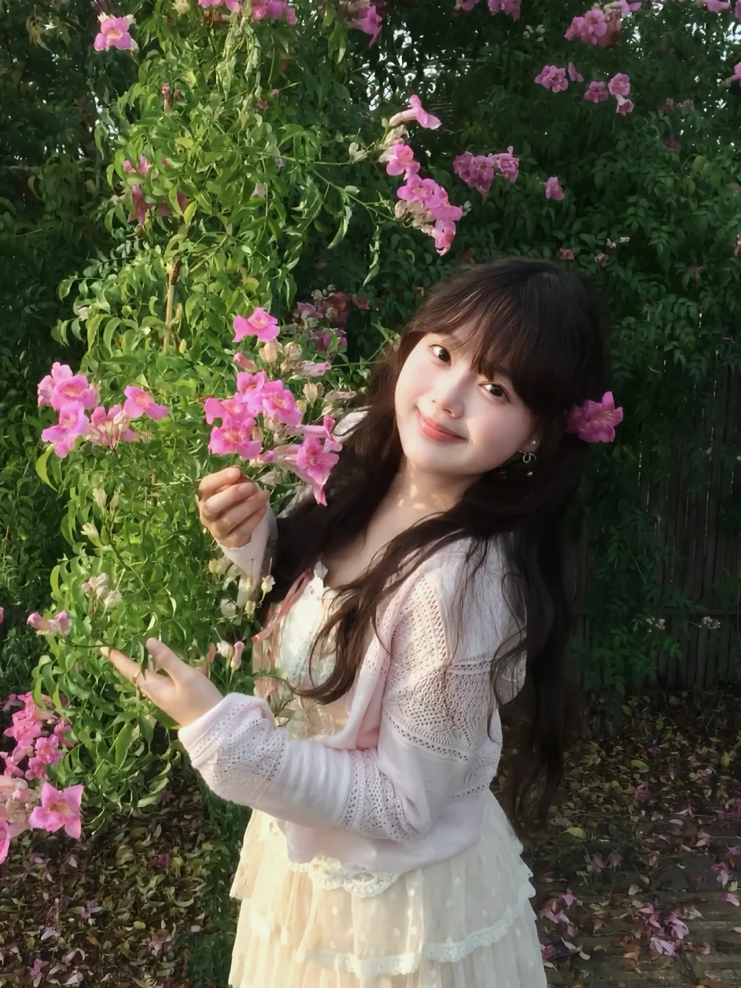 在常德 秋天也拍到粉粉的花墙啦 🌸