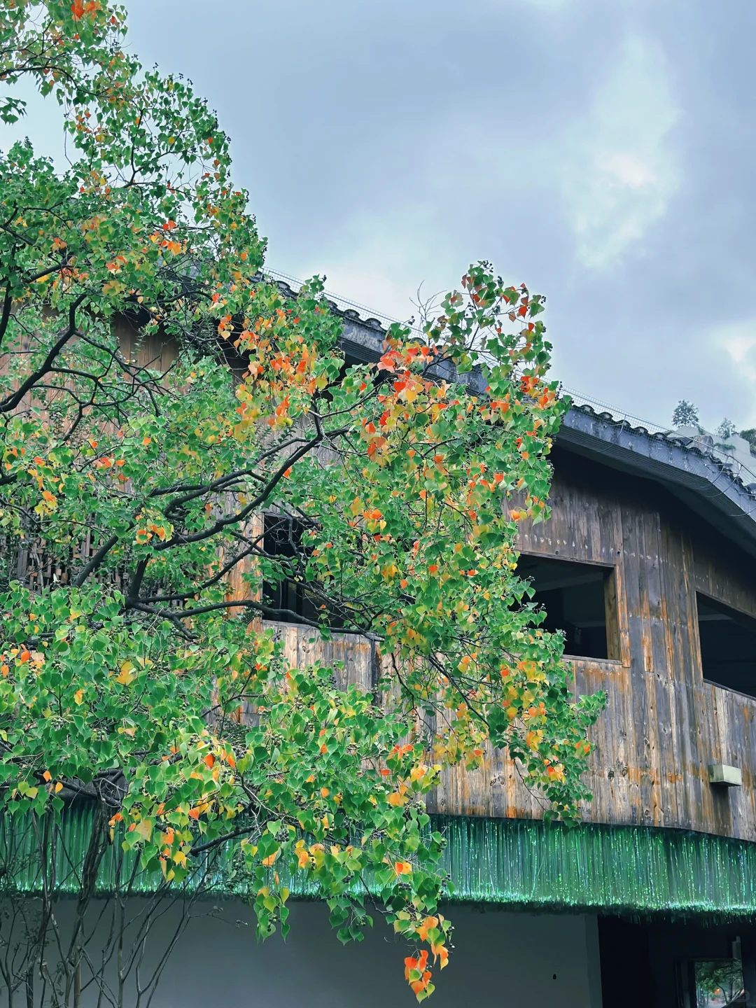 常德｜老西门也太出片了📷