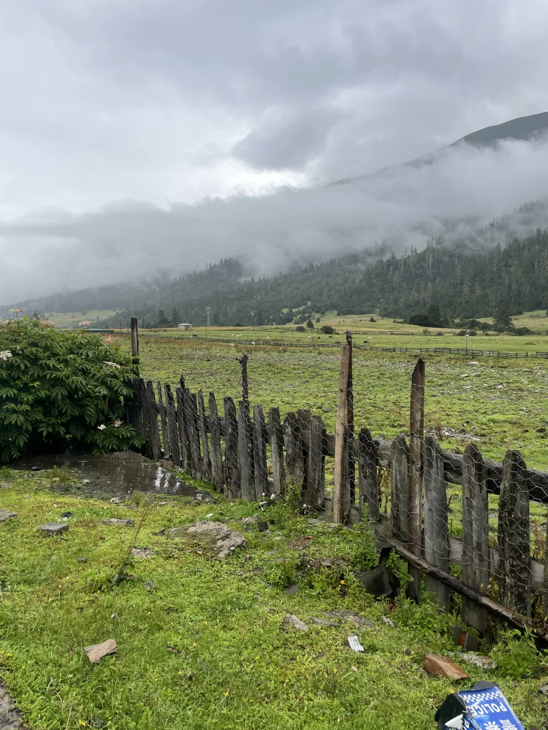 请推给106位常德人