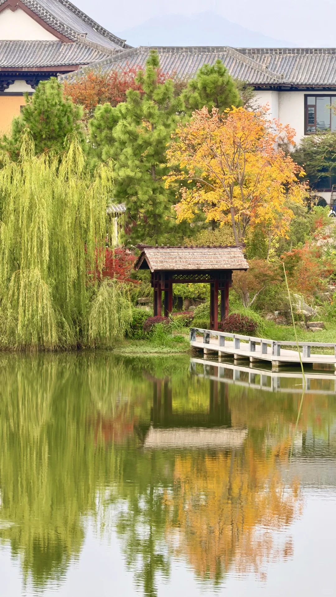 这就是常德的秋天吗？！也太好看了！！