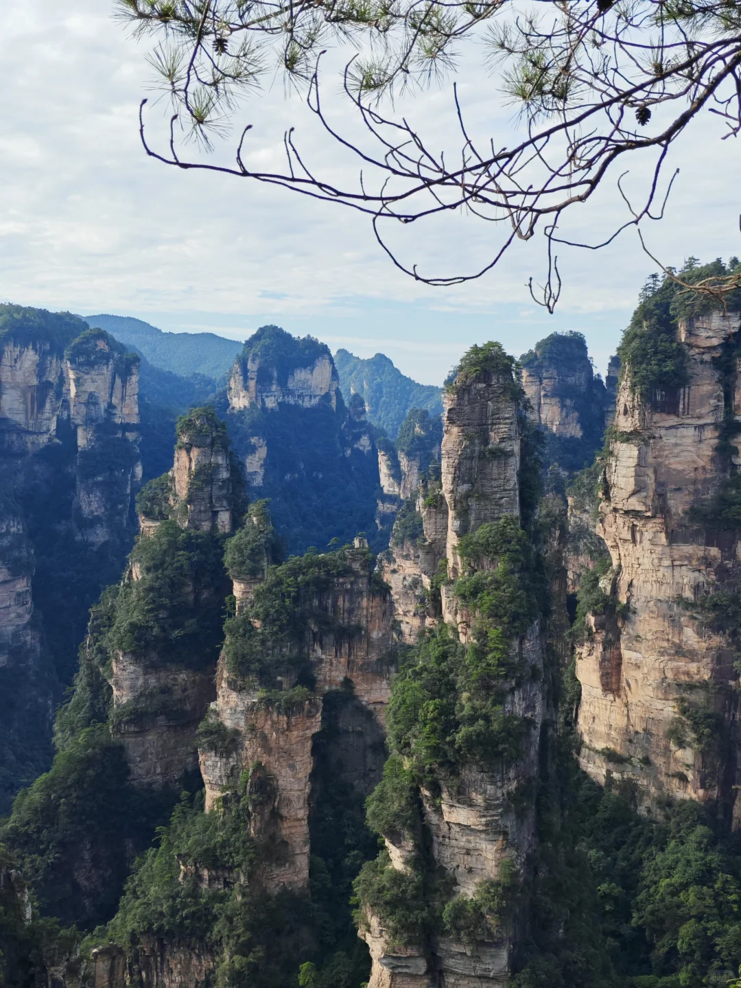 🌟一人玩转张家界，自由行攻略&避坑指南