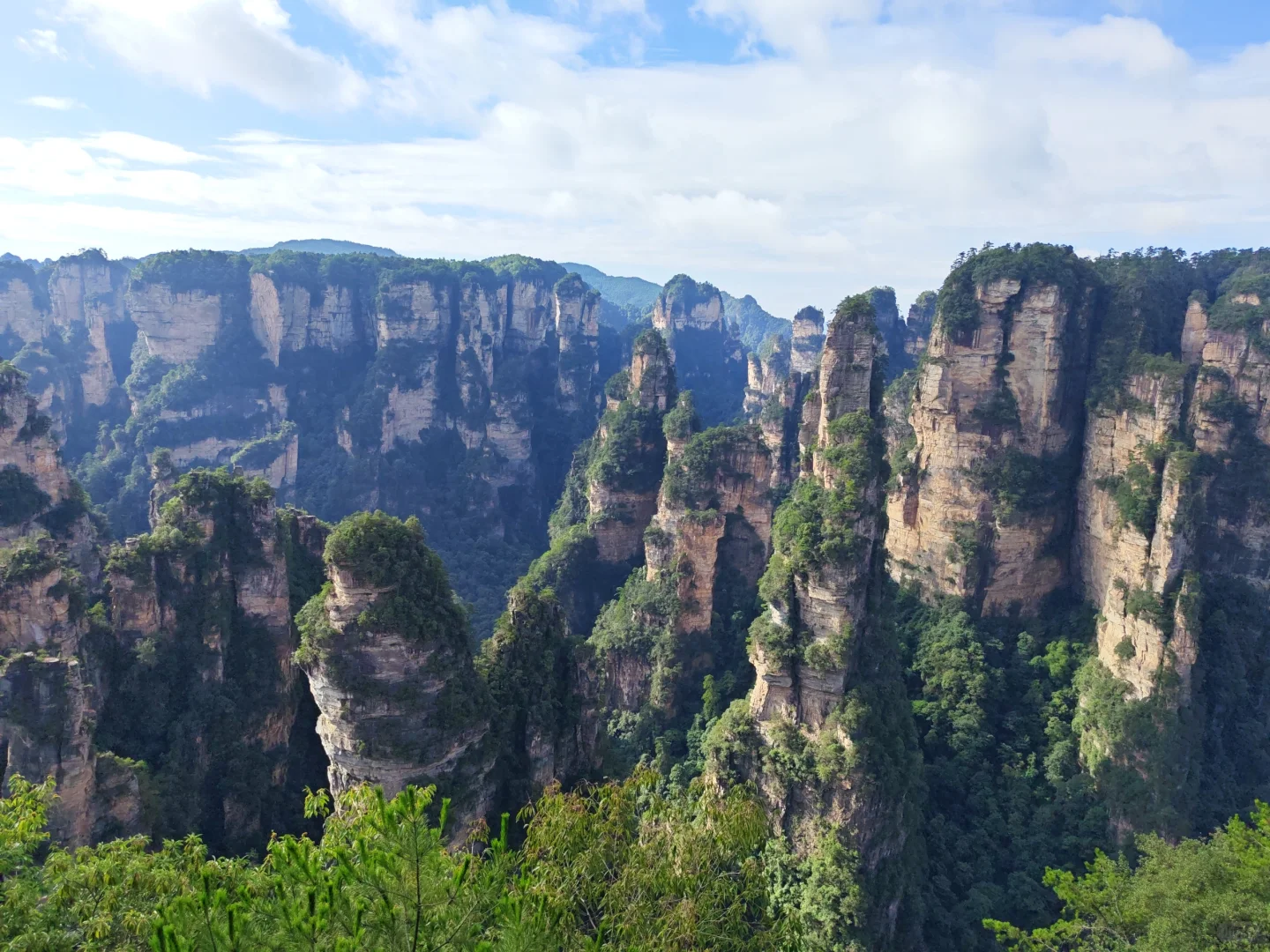 🌟一人玩转张家界，自由行攻略&避坑指南