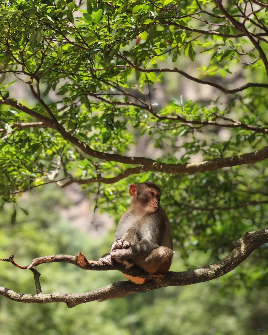 🌟一人玩转张家界，自由行攻略&避坑指南