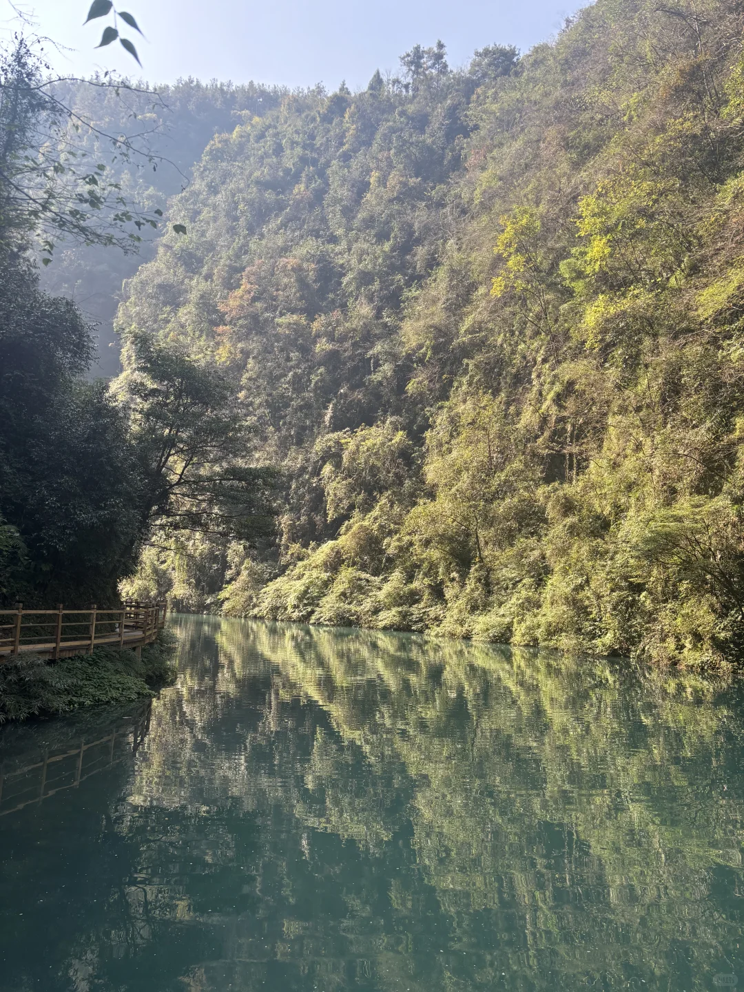 11.15实况图｜原来张家界大峡谷这么美啊