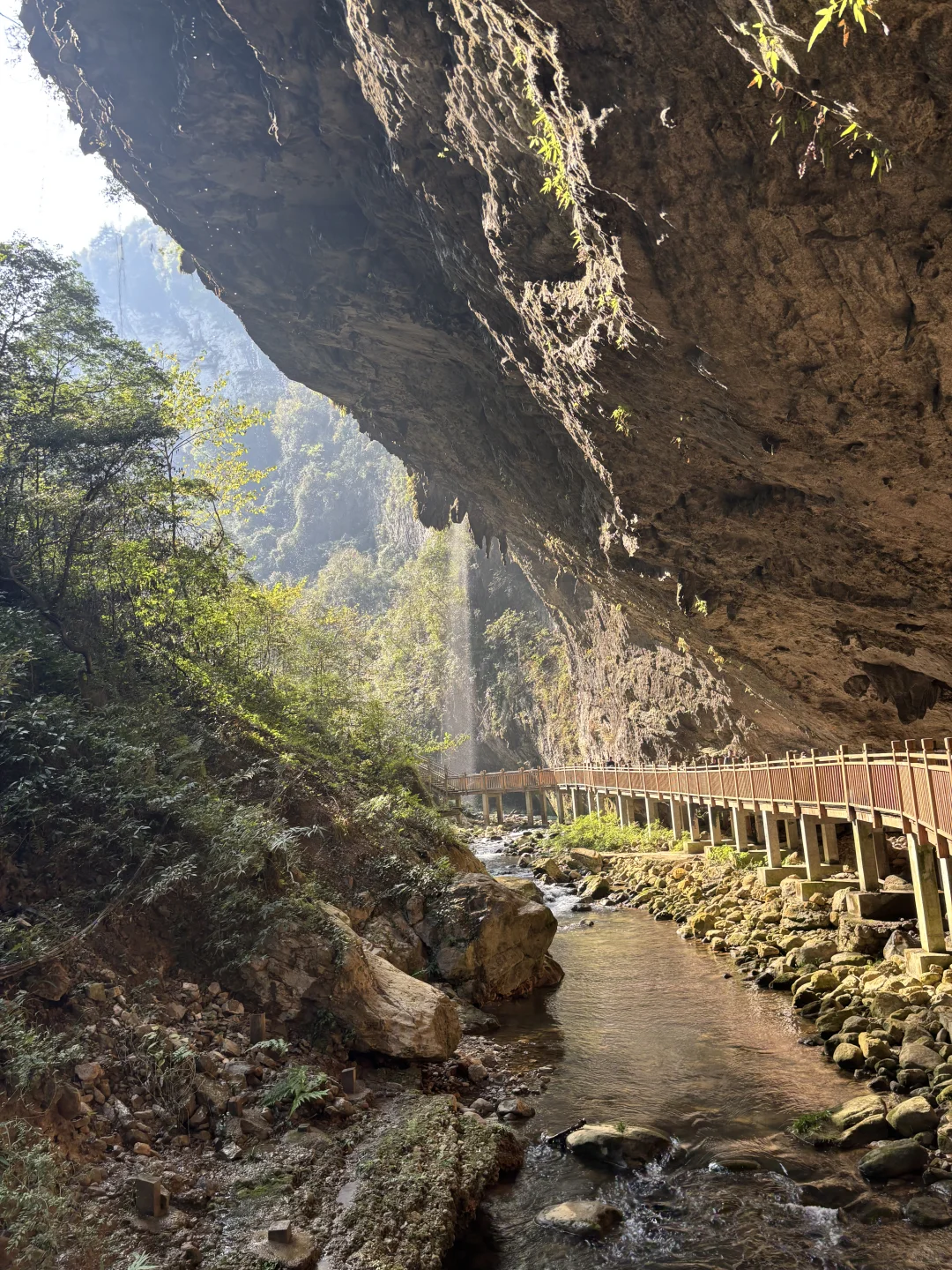 11.15实况图｜原来张家界大峡谷这么美啊