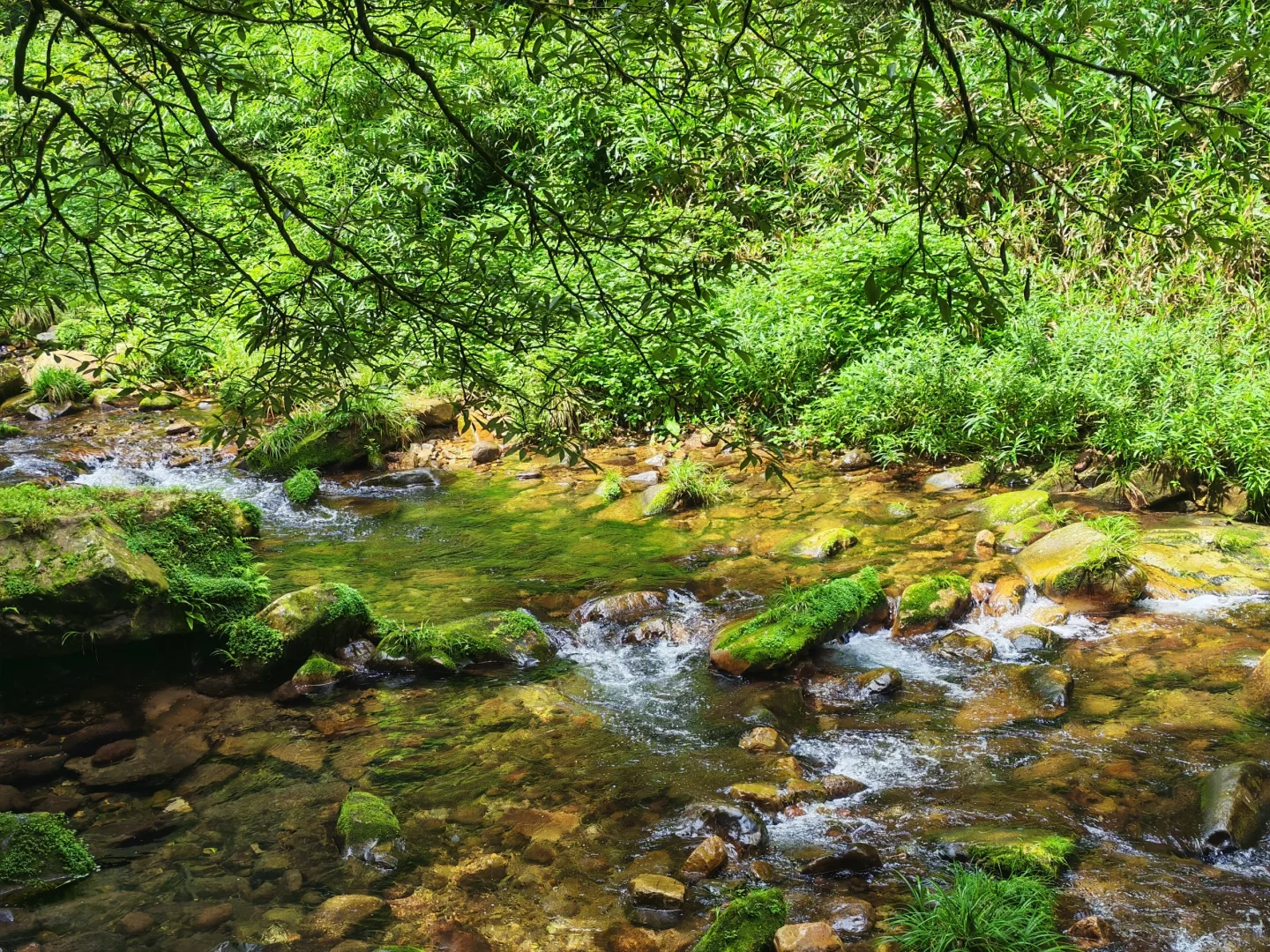 🌟一人玩转张家界，自由行攻略&避坑指南