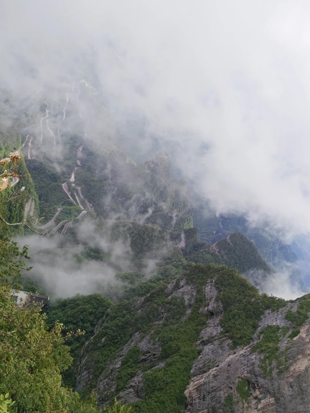 🌟一人玩转张家界，自由行攻略&避坑指南