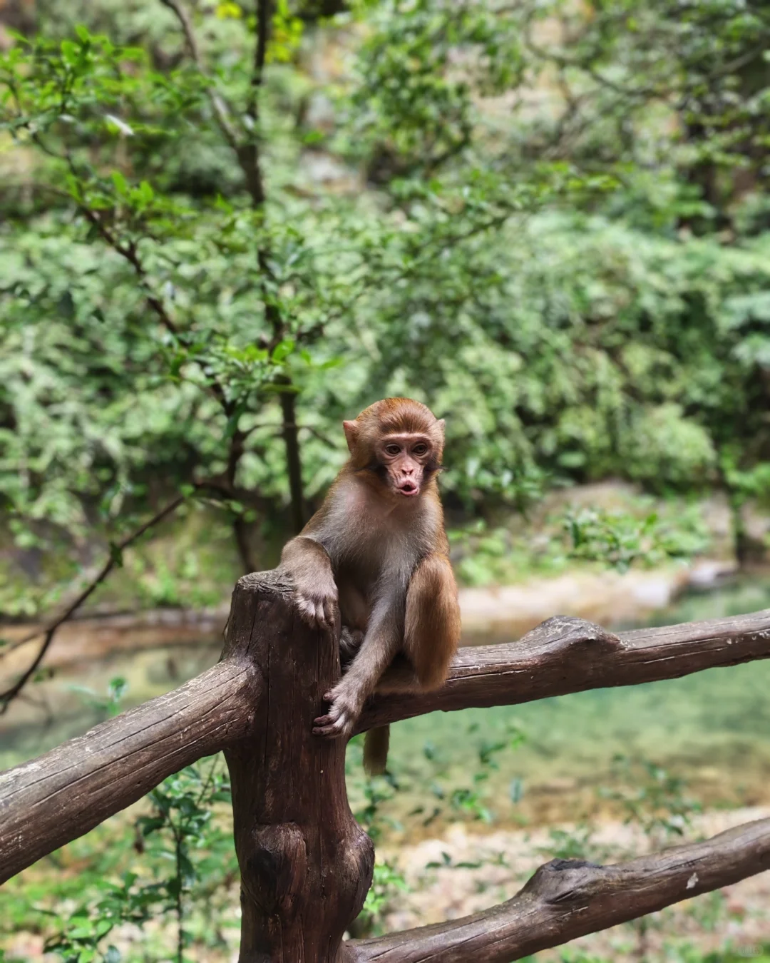 🌟一人玩转张家界，自由行攻略&避坑指南