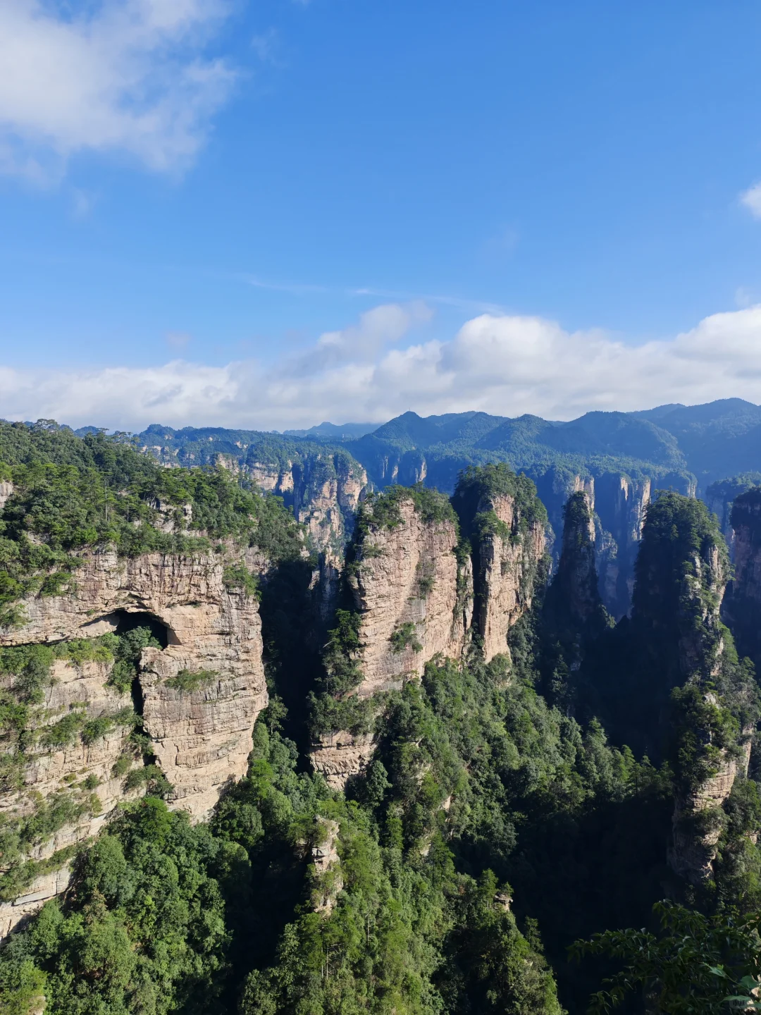 🌟一人玩转张家界，自由行攻略&避坑指南