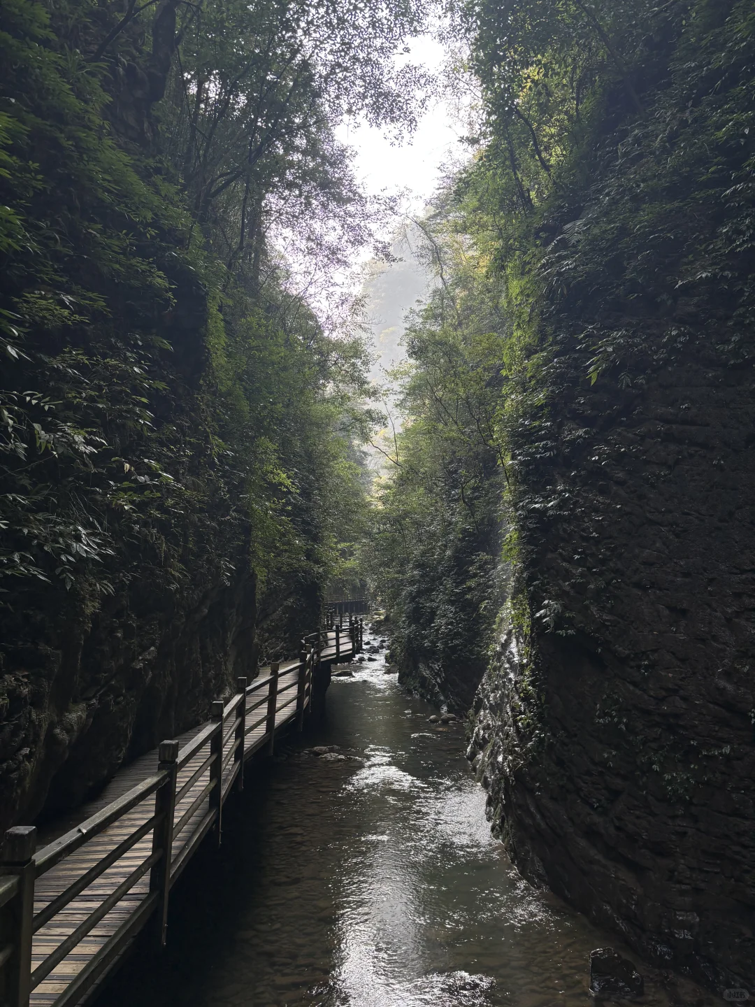 11.15实况图｜原来张家界大峡谷这么美啊