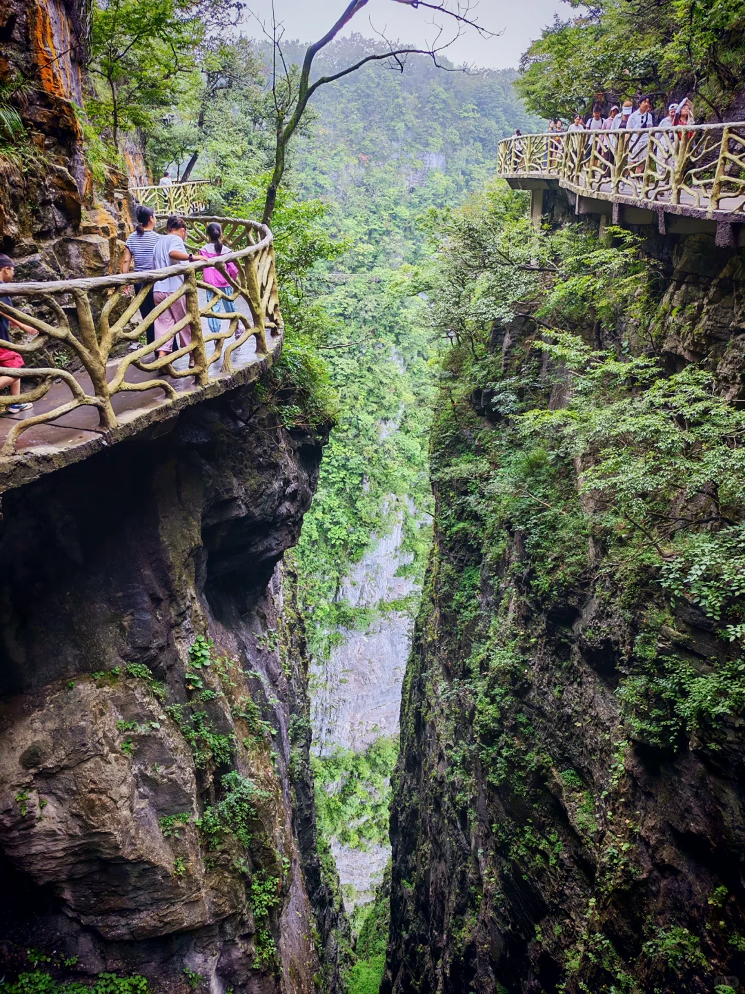 🌟一人玩转张家界，自由行攻略&避坑指南