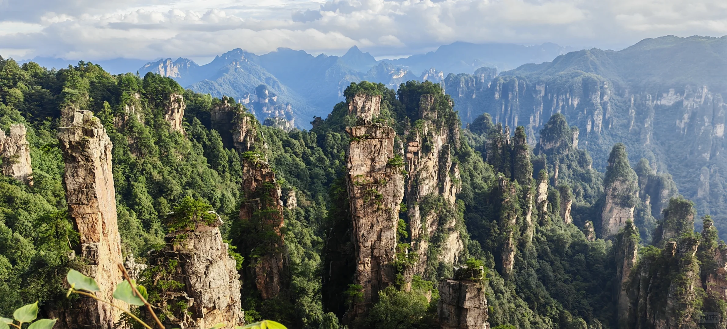 🌟一人玩转张家界，自由行攻略&避坑指南