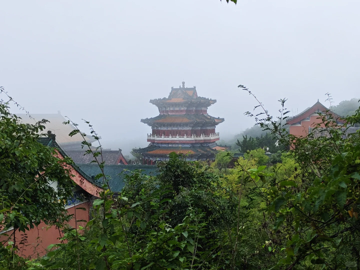 🌟一人玩转张家界，自由行攻略&避坑指南