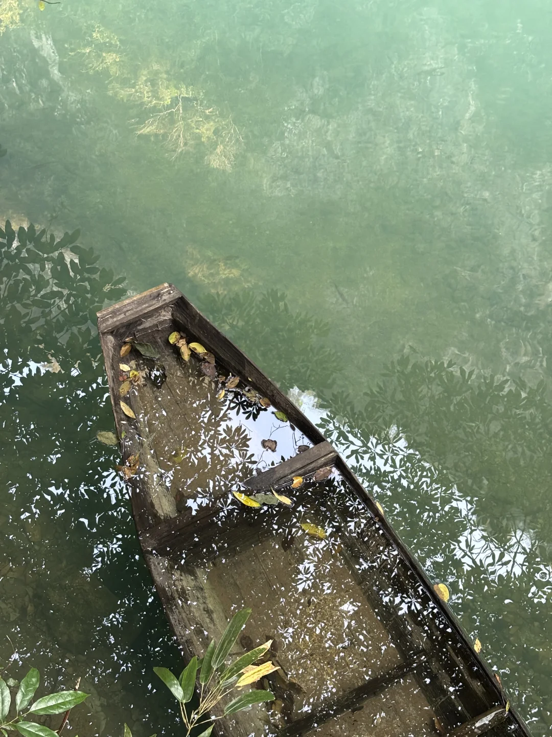 11.15实况图｜原来张家界大峡谷这么美啊