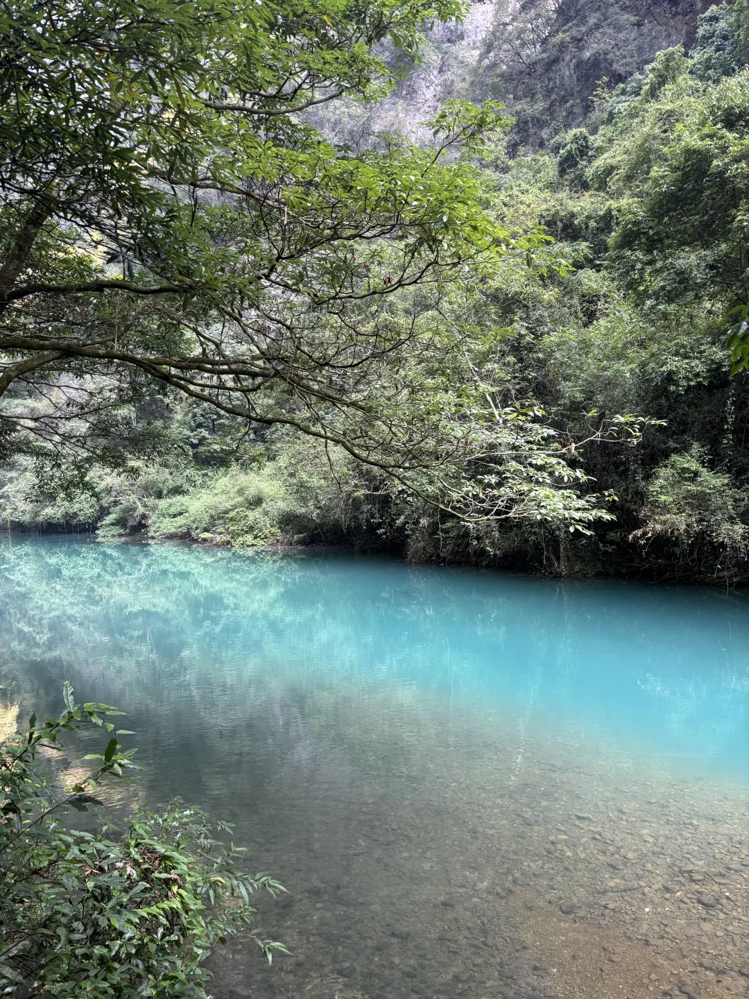 11.15实况图｜原来张家界大峡谷这么美啊