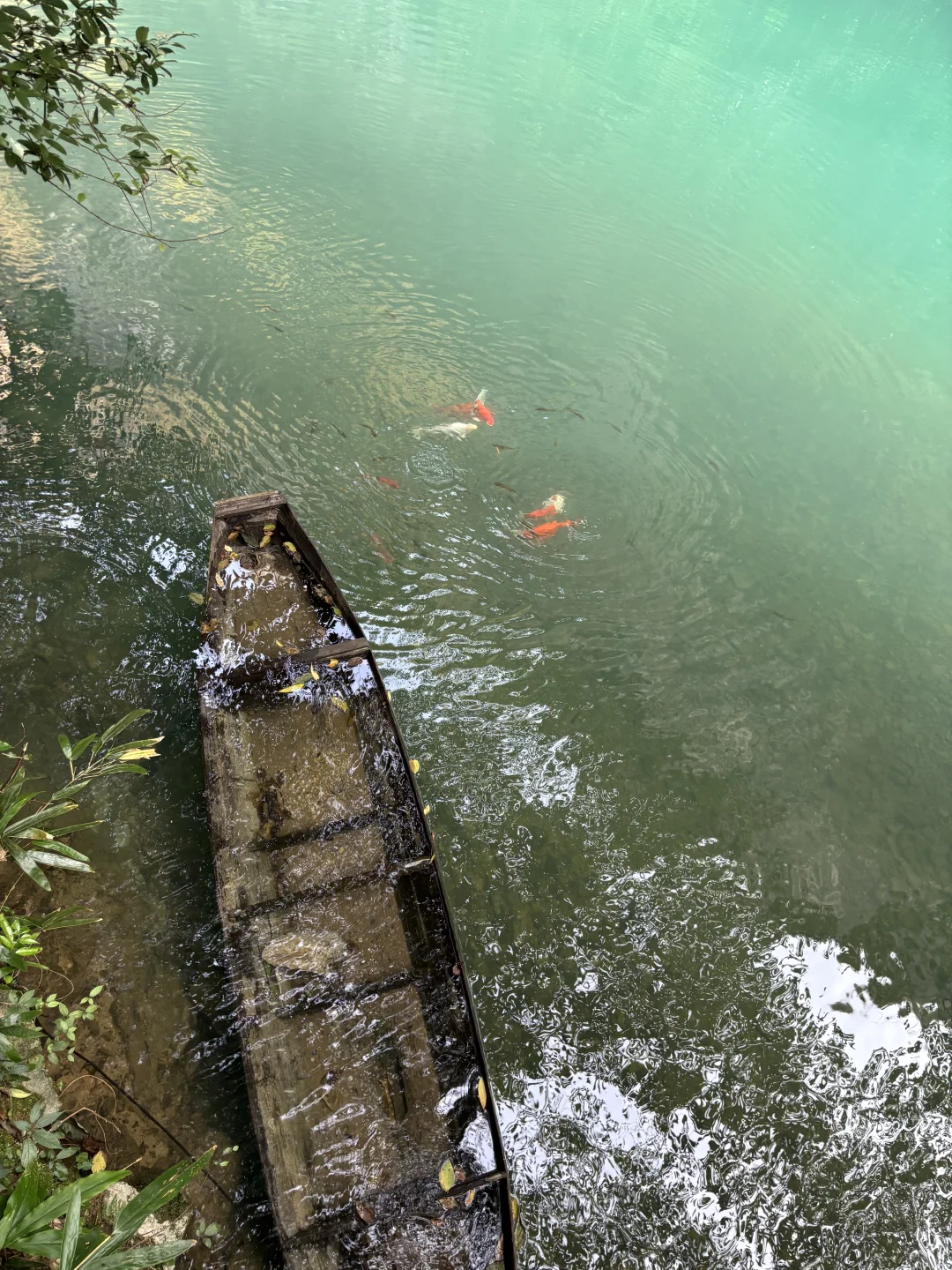 11.15实况图｜原来张家界大峡谷这么美啊