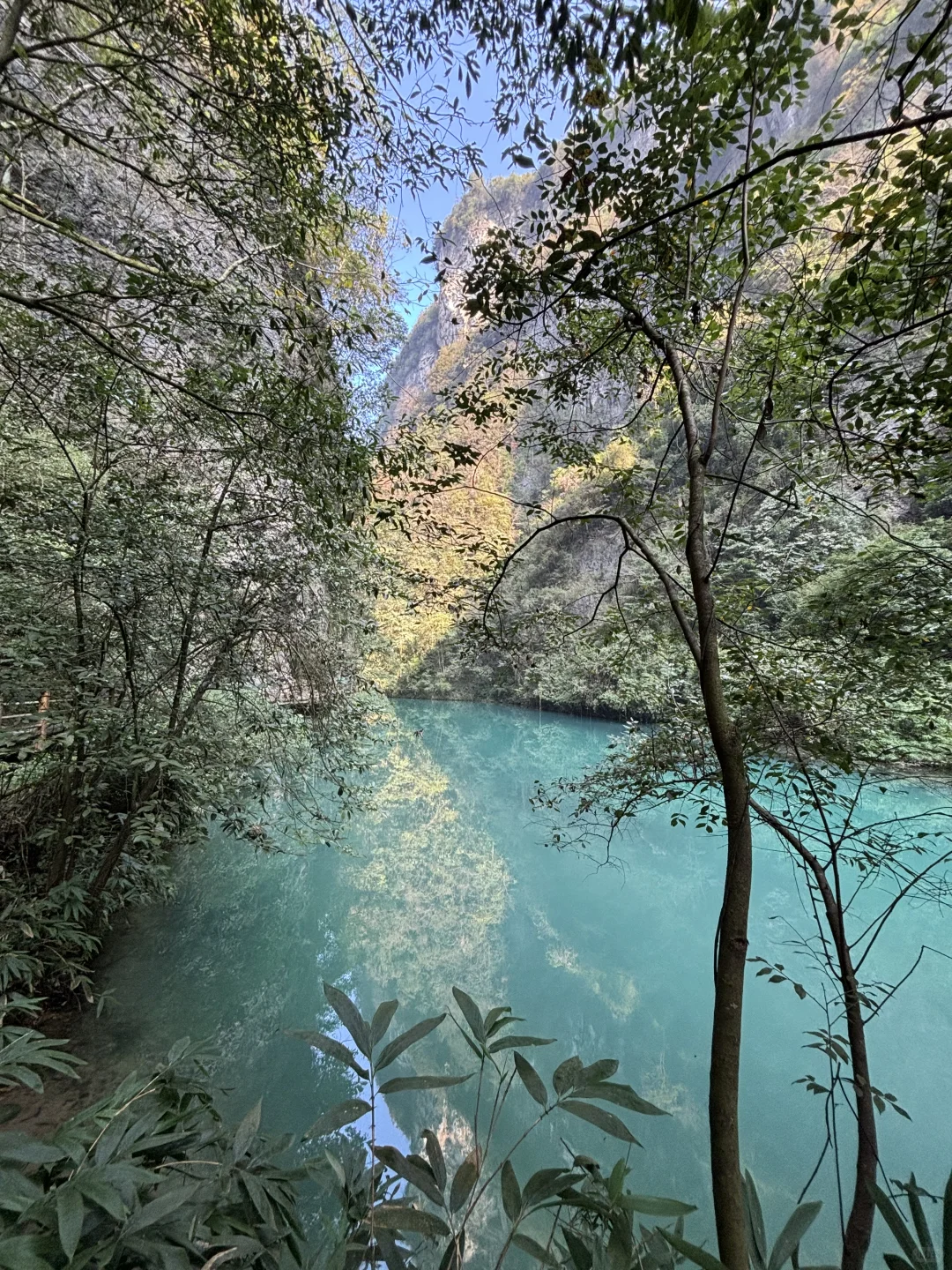 11.15实况图｜原来张家界大峡谷这么美啊
