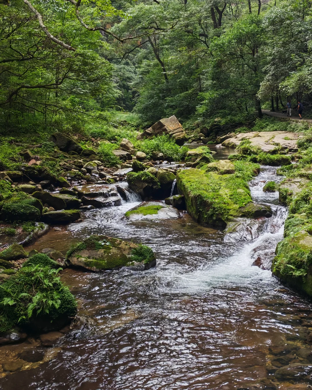 🌟一人玩转张家界，自由行攻略&避坑指南